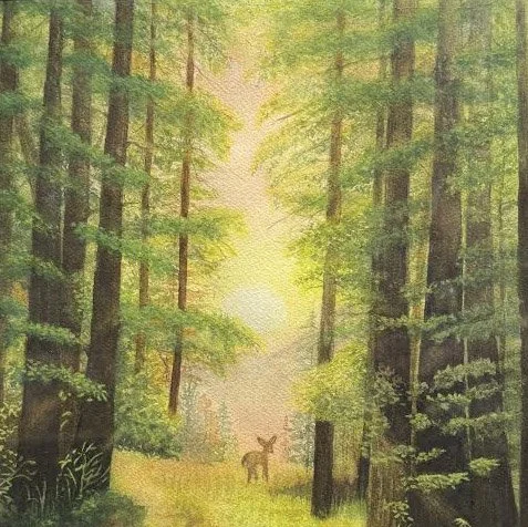 Meadow Path