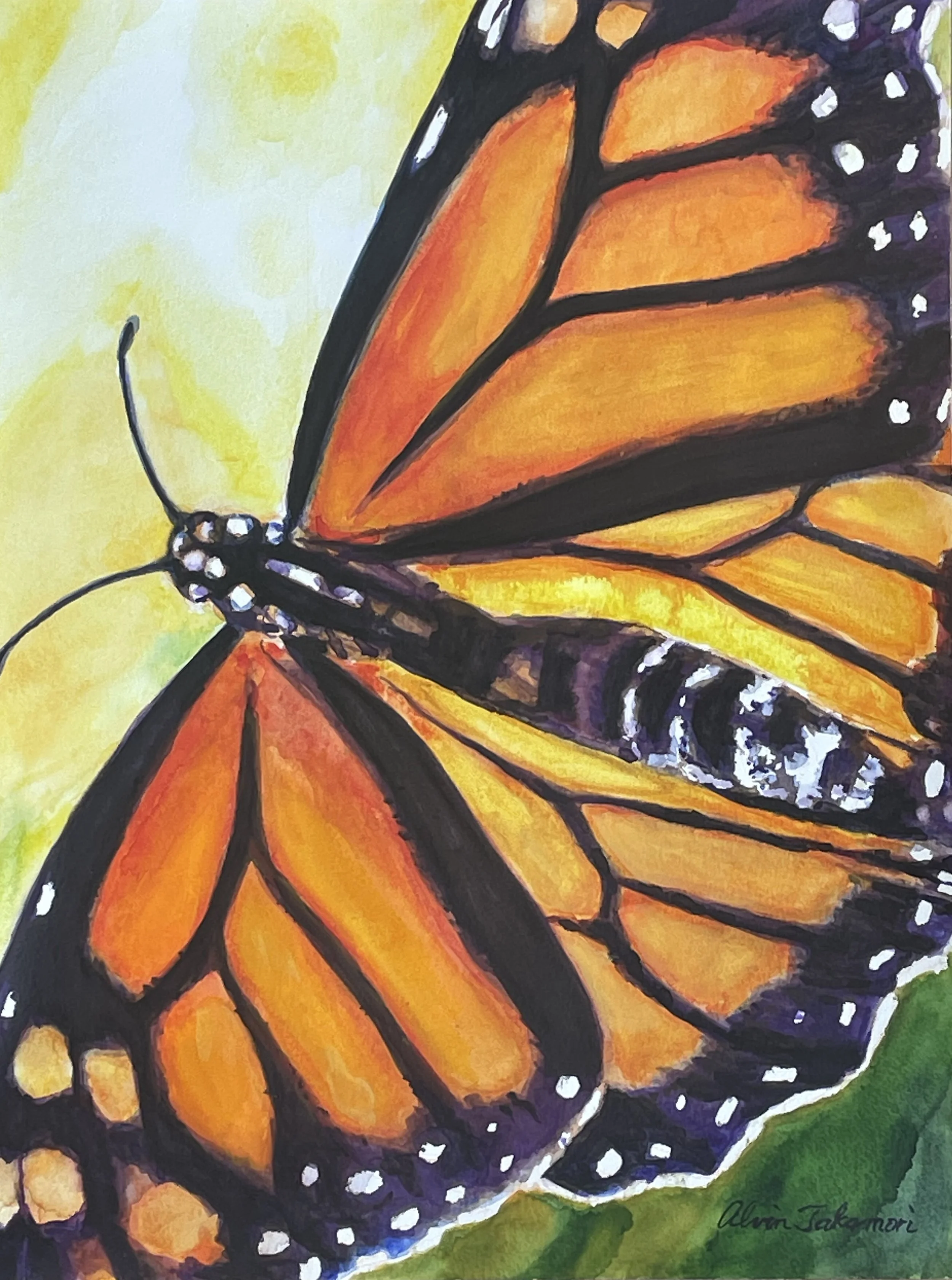 Monarch Closeup