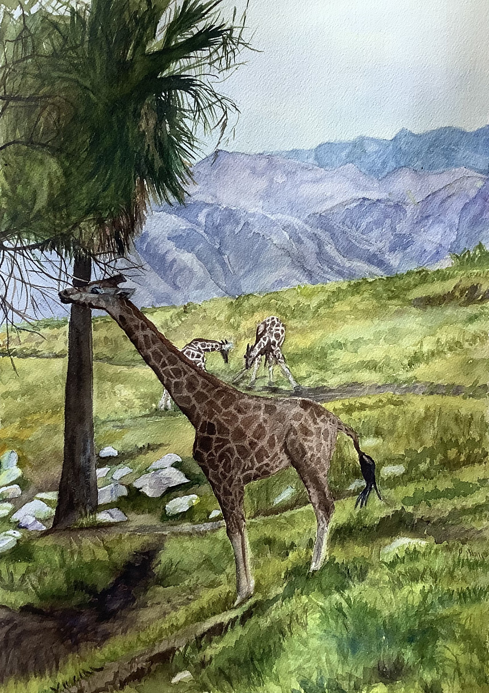 Kaoru Zoo8UlTgzfcO_20251027_190750.jpeg