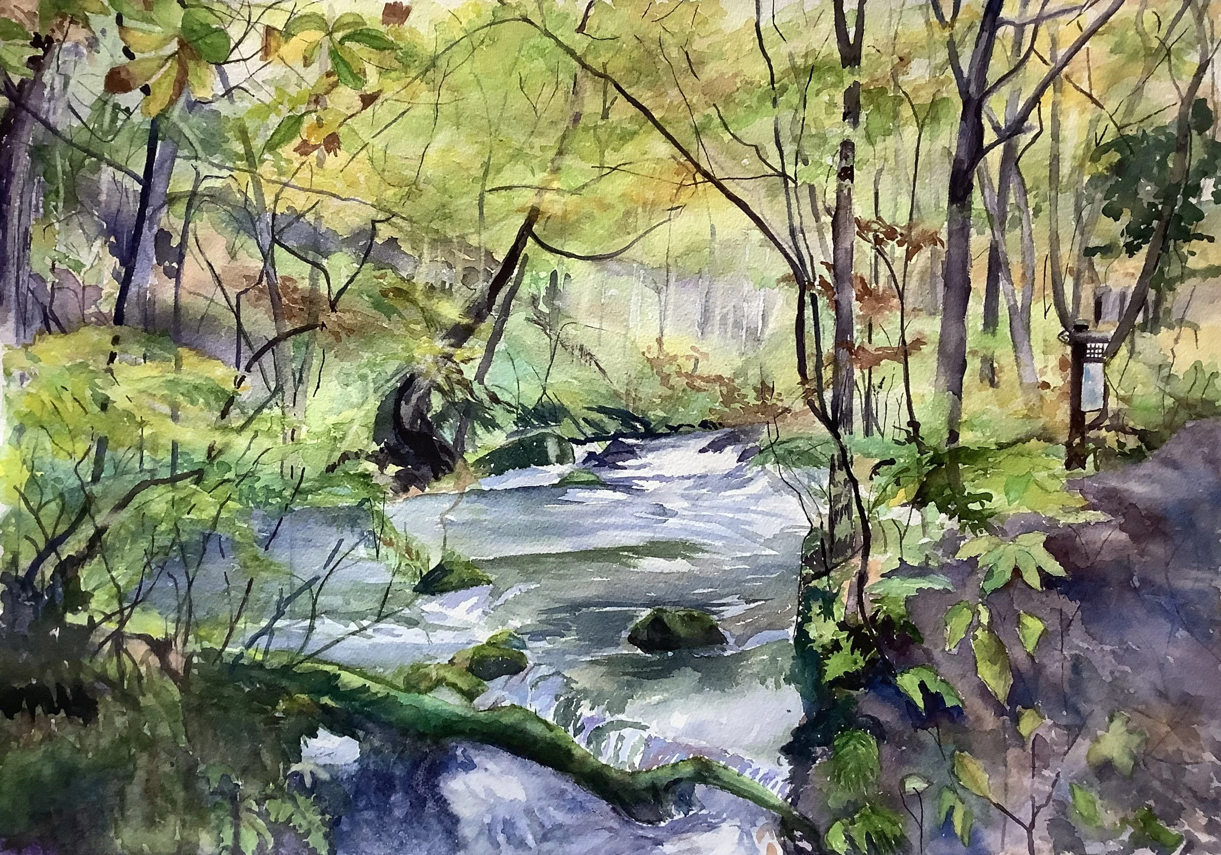 Oirase Valley in Japan