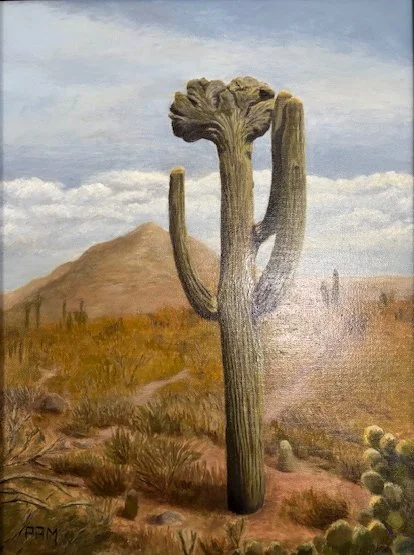 Sullivan Crested Saguaro.jpg