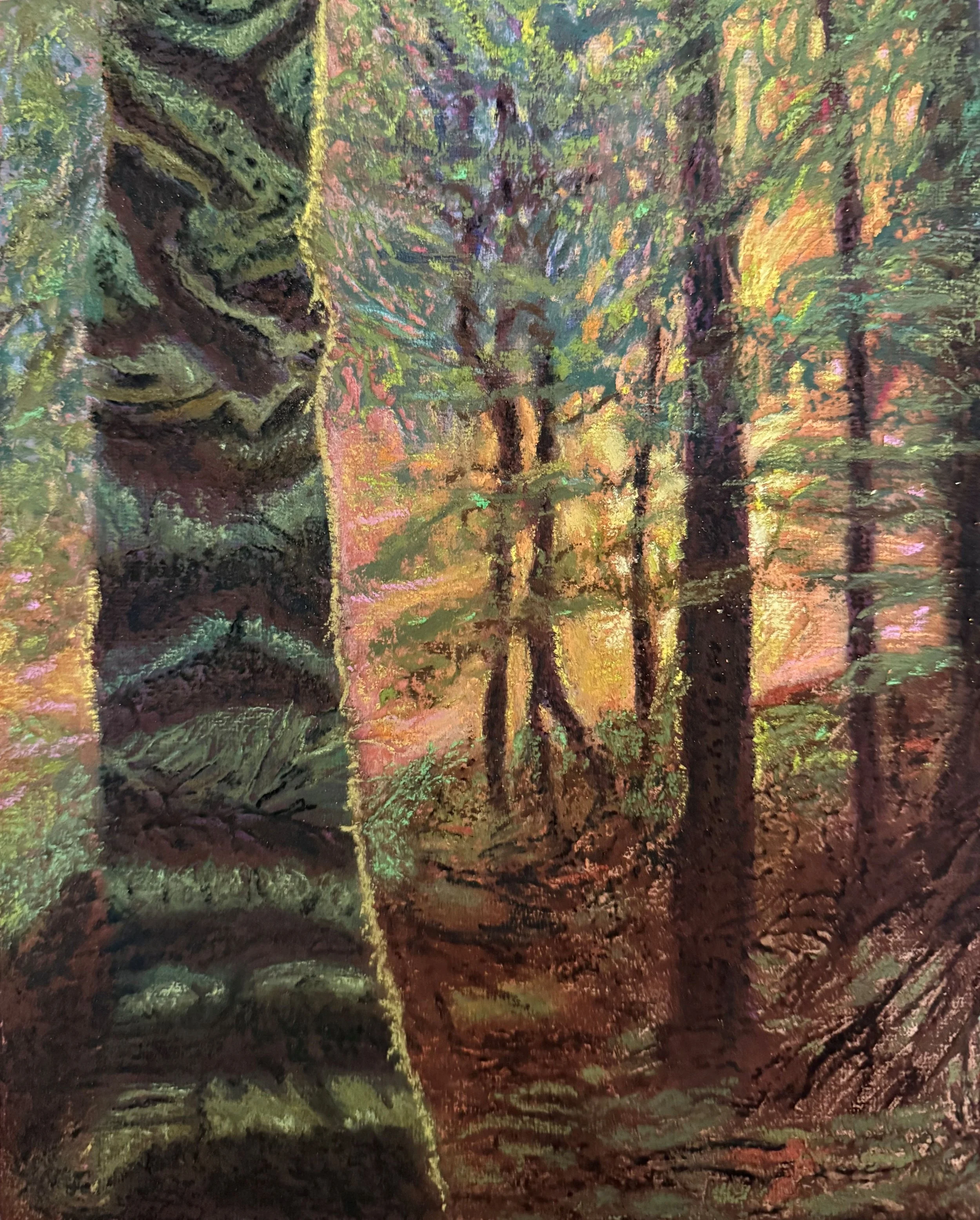 Armstrong Forest
