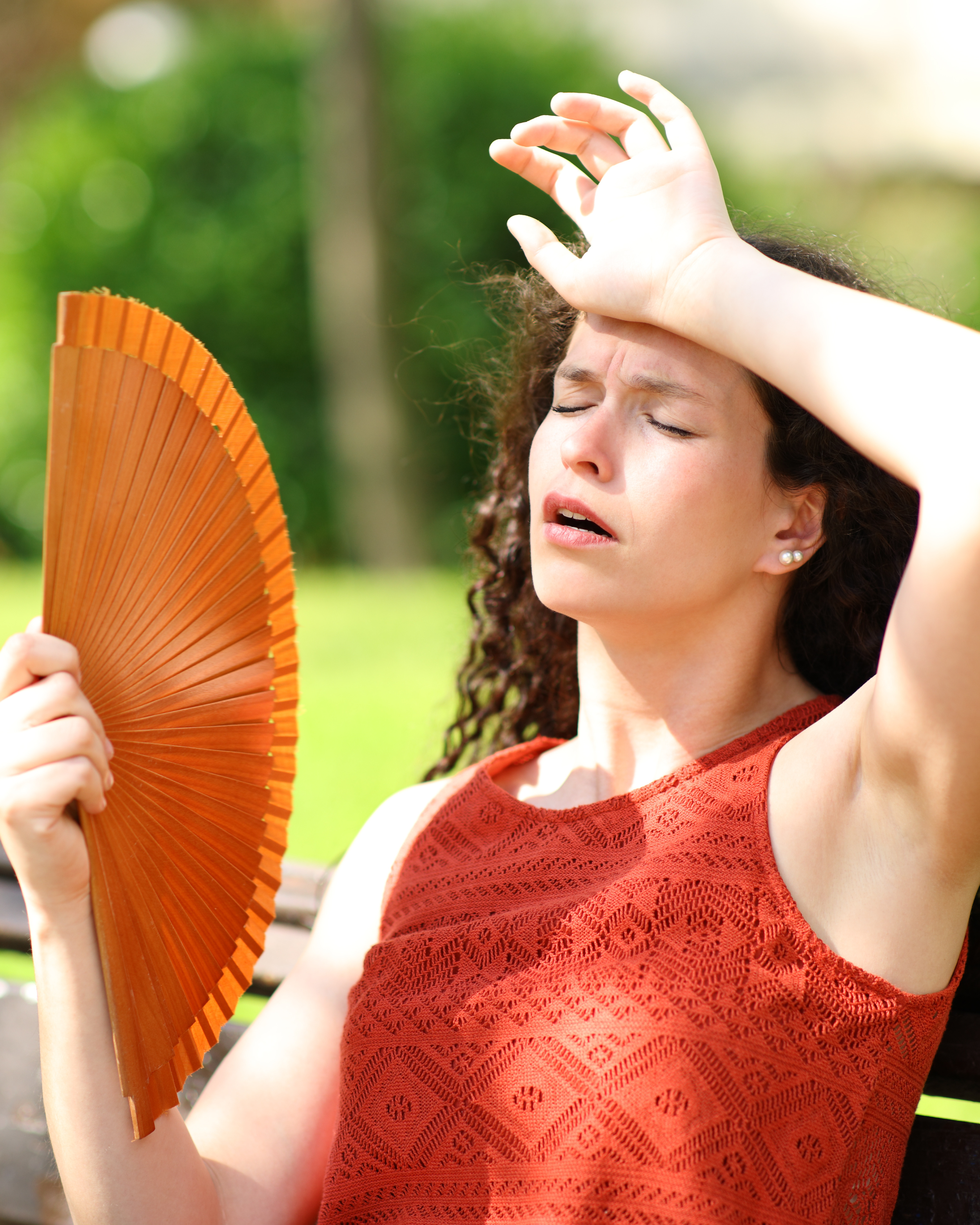 Calor e final de ano chegando, as carteiras de vacinas estão em dia?