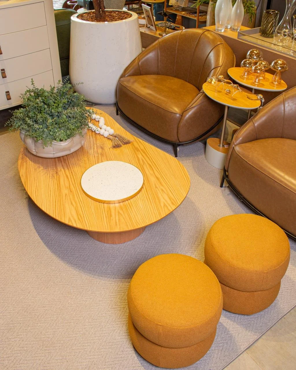 WhatsApp Image 2026-01-20 at 09.09.04.jpeg