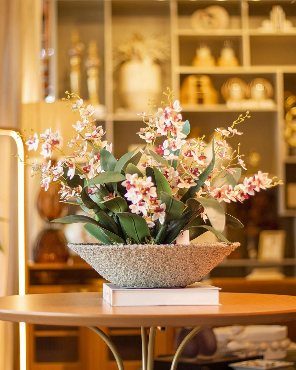 WhatsApp Image 2026-01-20 at 09.09.13.jpeg