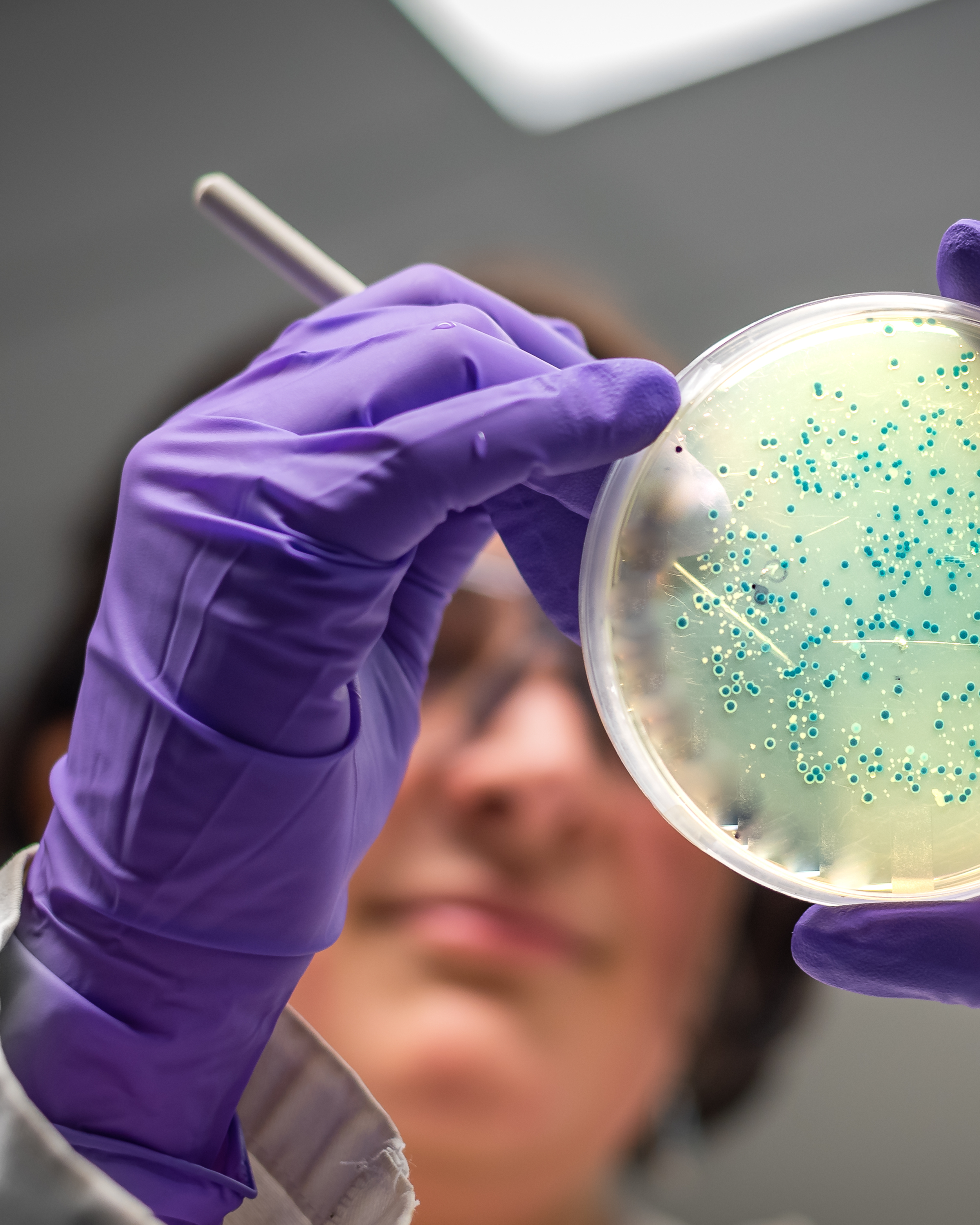 Você sabe quais vacinas podem proteger sua família contra as meningites bacterianas?