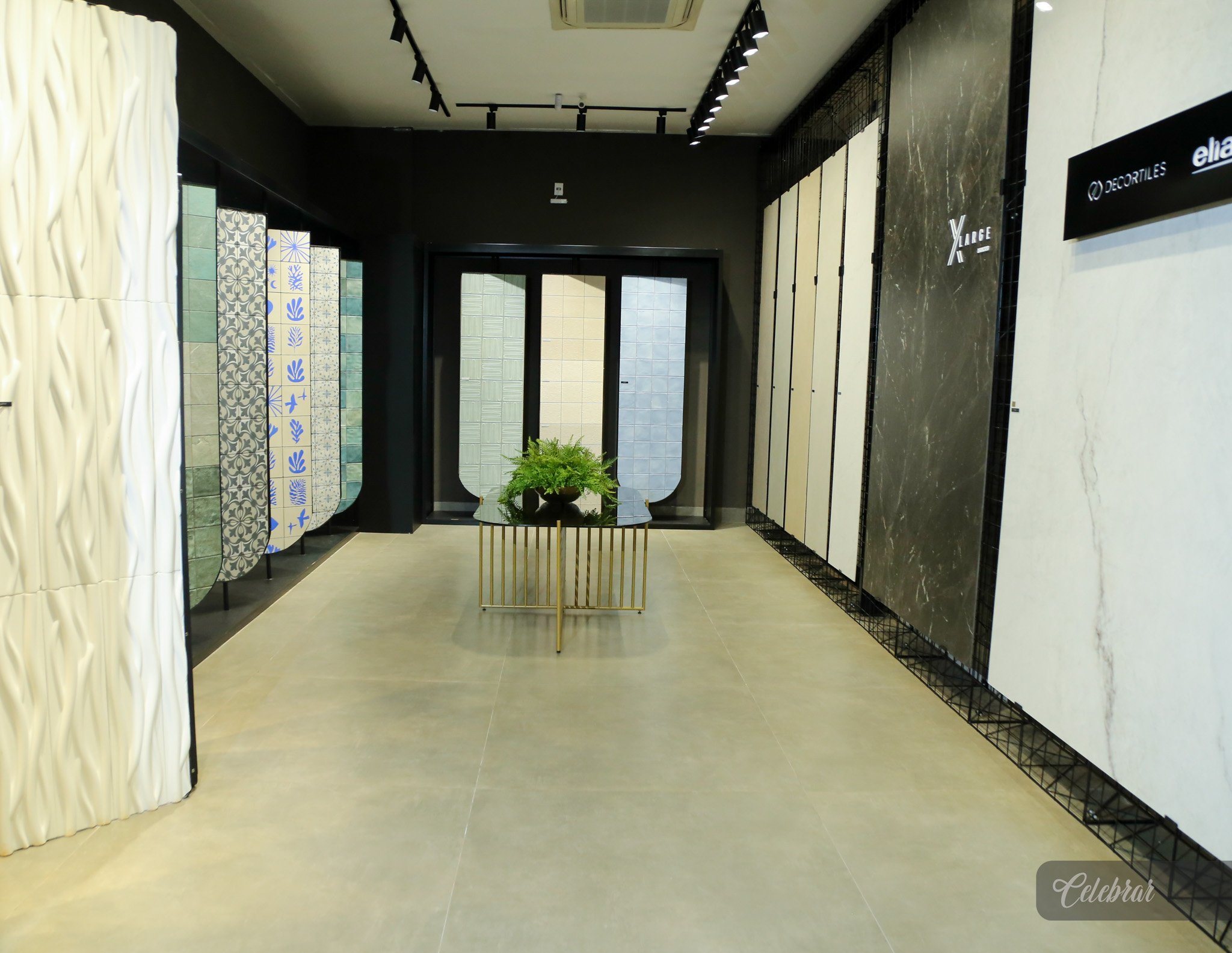 IMG_4100.jpg