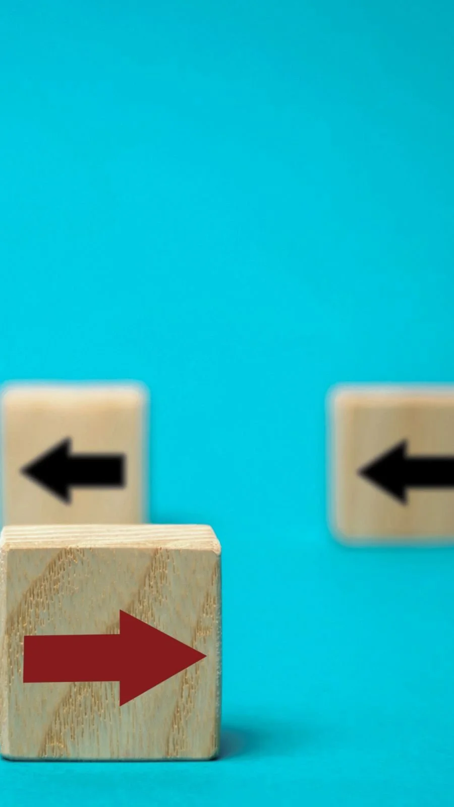 WhatsApp Image 2026-08-23 at 08.31.23 (1).jpeg