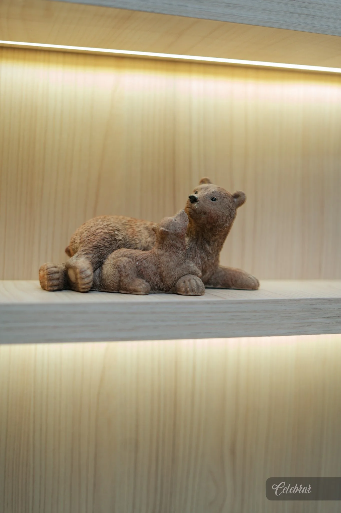 ALN04074.jpg