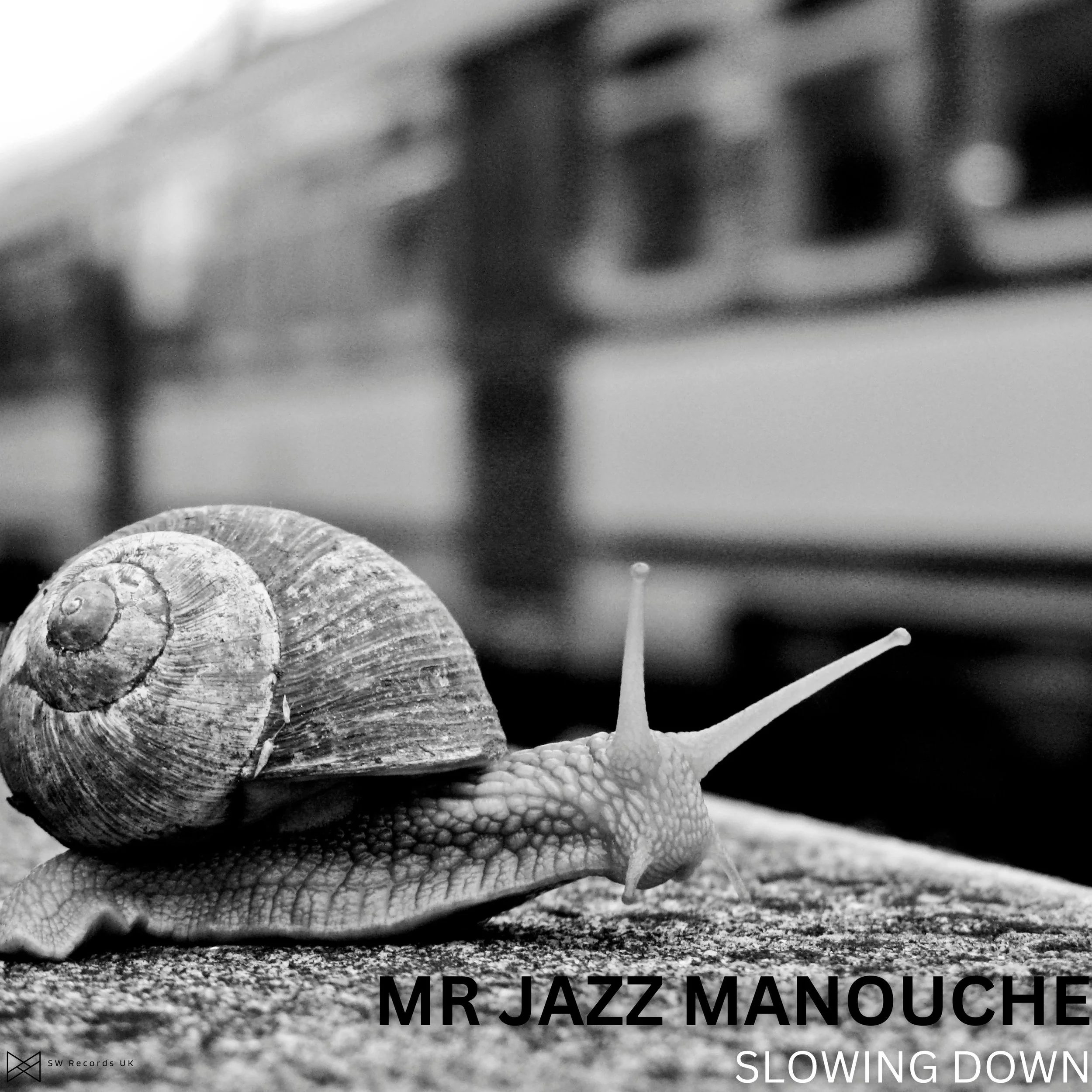 mr jazz manouche.jpg