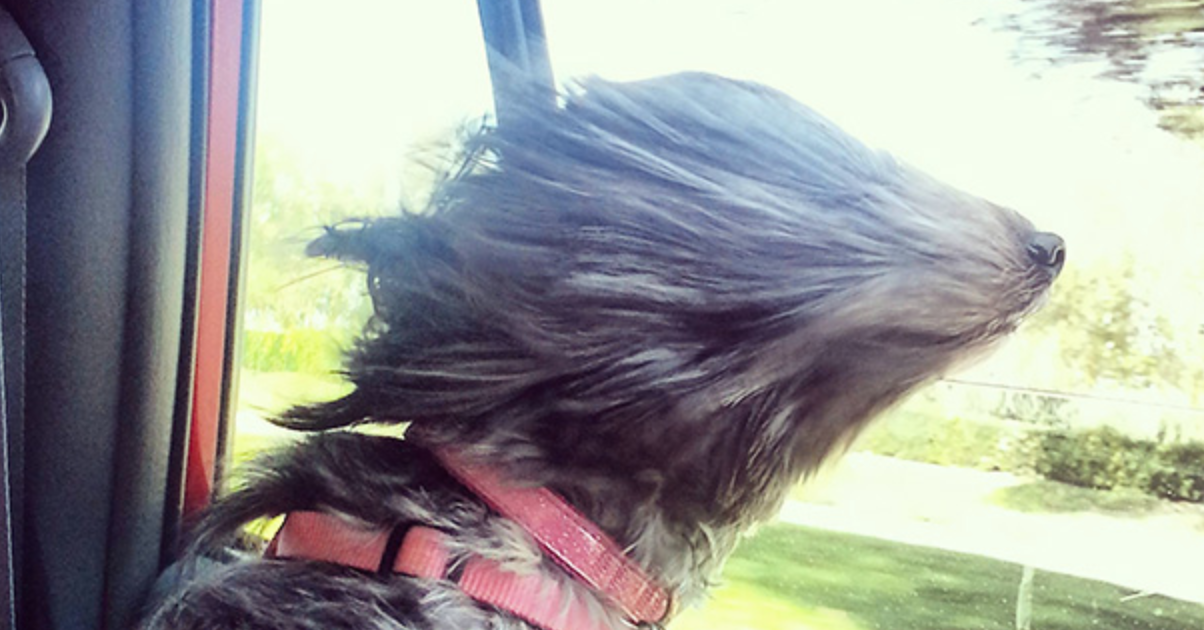 5-Day Journaling Exercise: Are You Trying to Control the Wind?