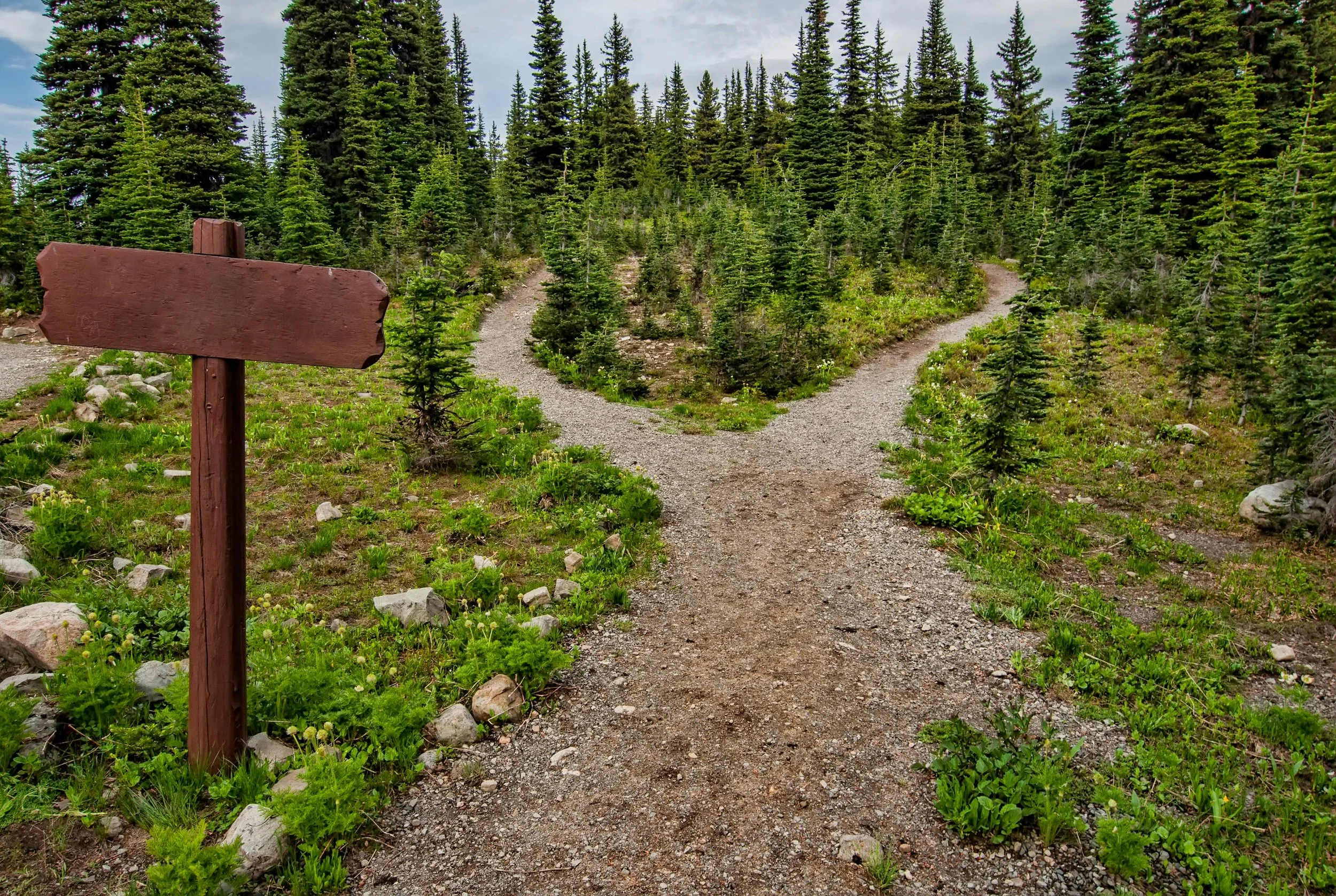 5-Day Journaling Exercise: Choose Your Adventure, Because You Can’t Choose Others