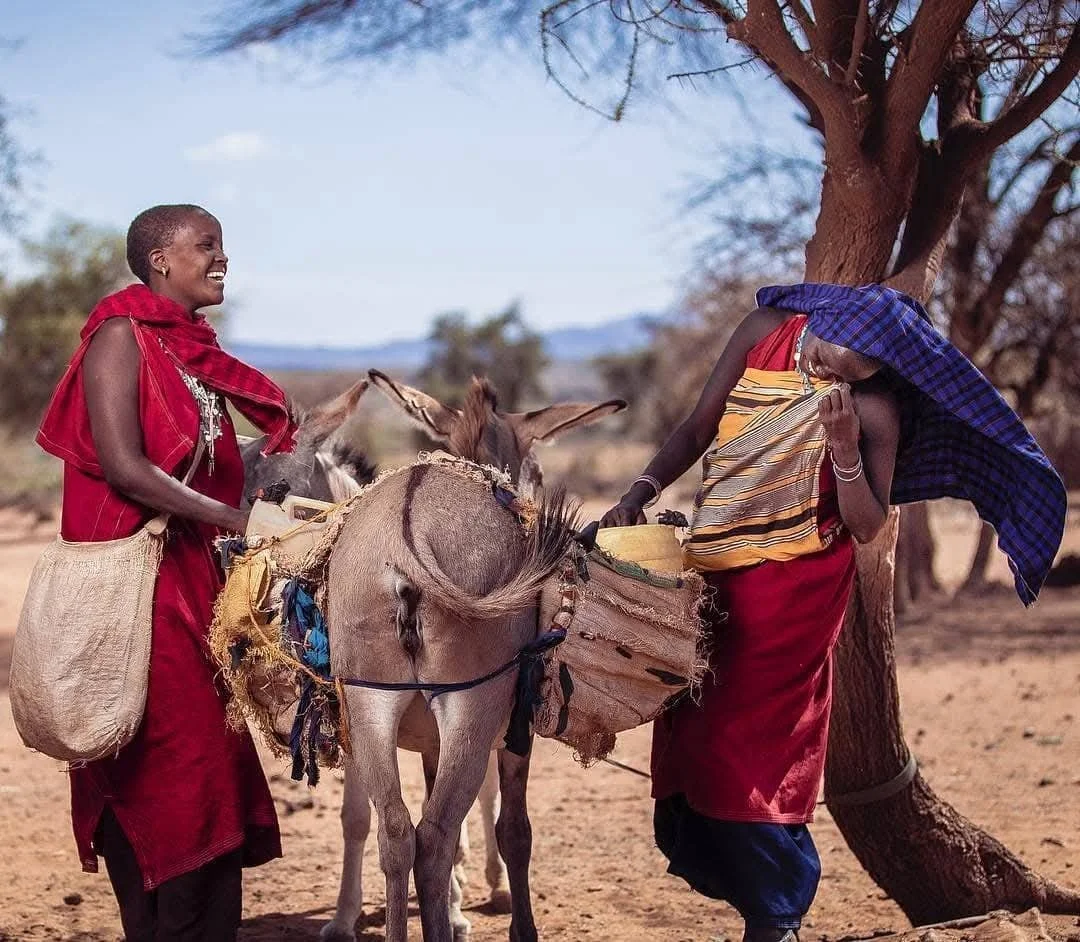 WhatsApp Image 2025-12-06 at 08.27.15.jpeg