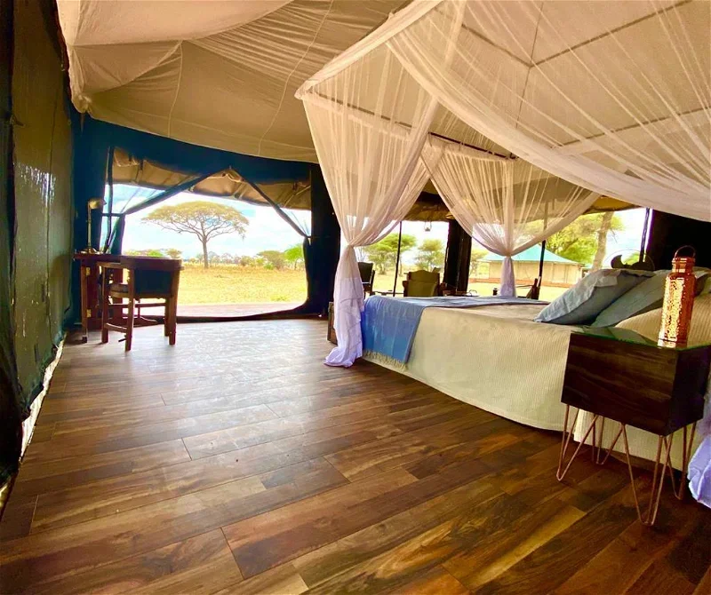 honeyguide_tarangire_camp_-_tanzania__17.webp