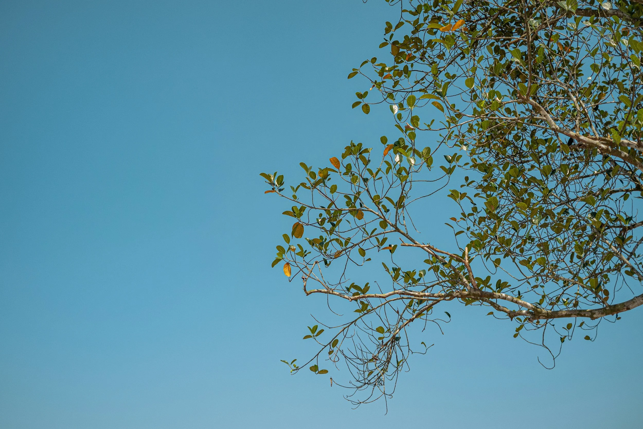 Building a Value-Reflective Private Practice