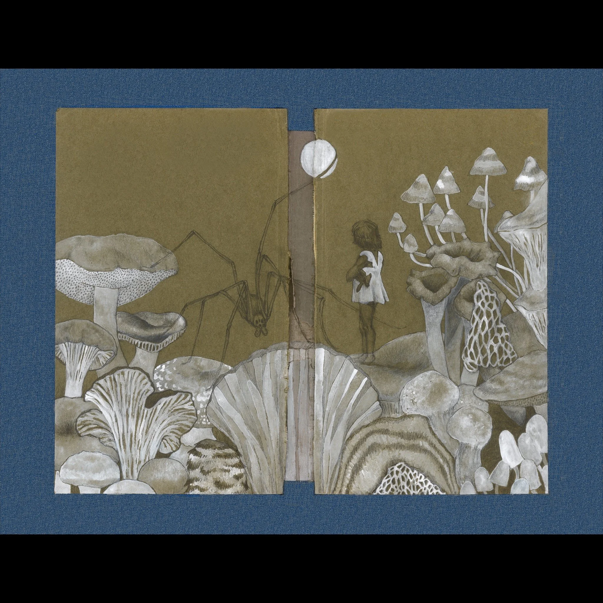 Mushroom Valley with Spider