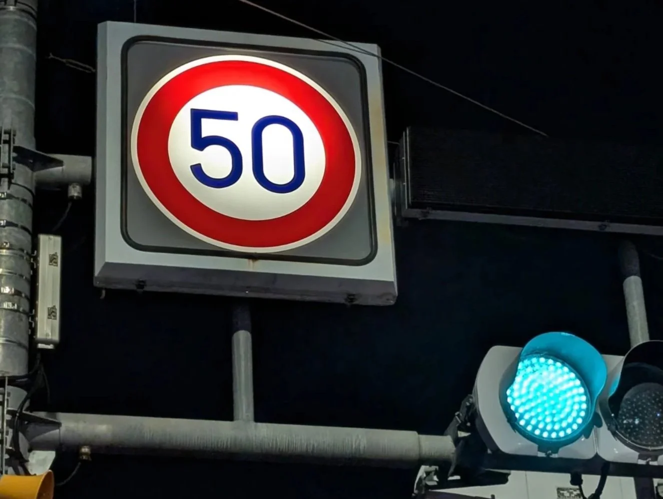 Veterinary ECC Newsletter #50 