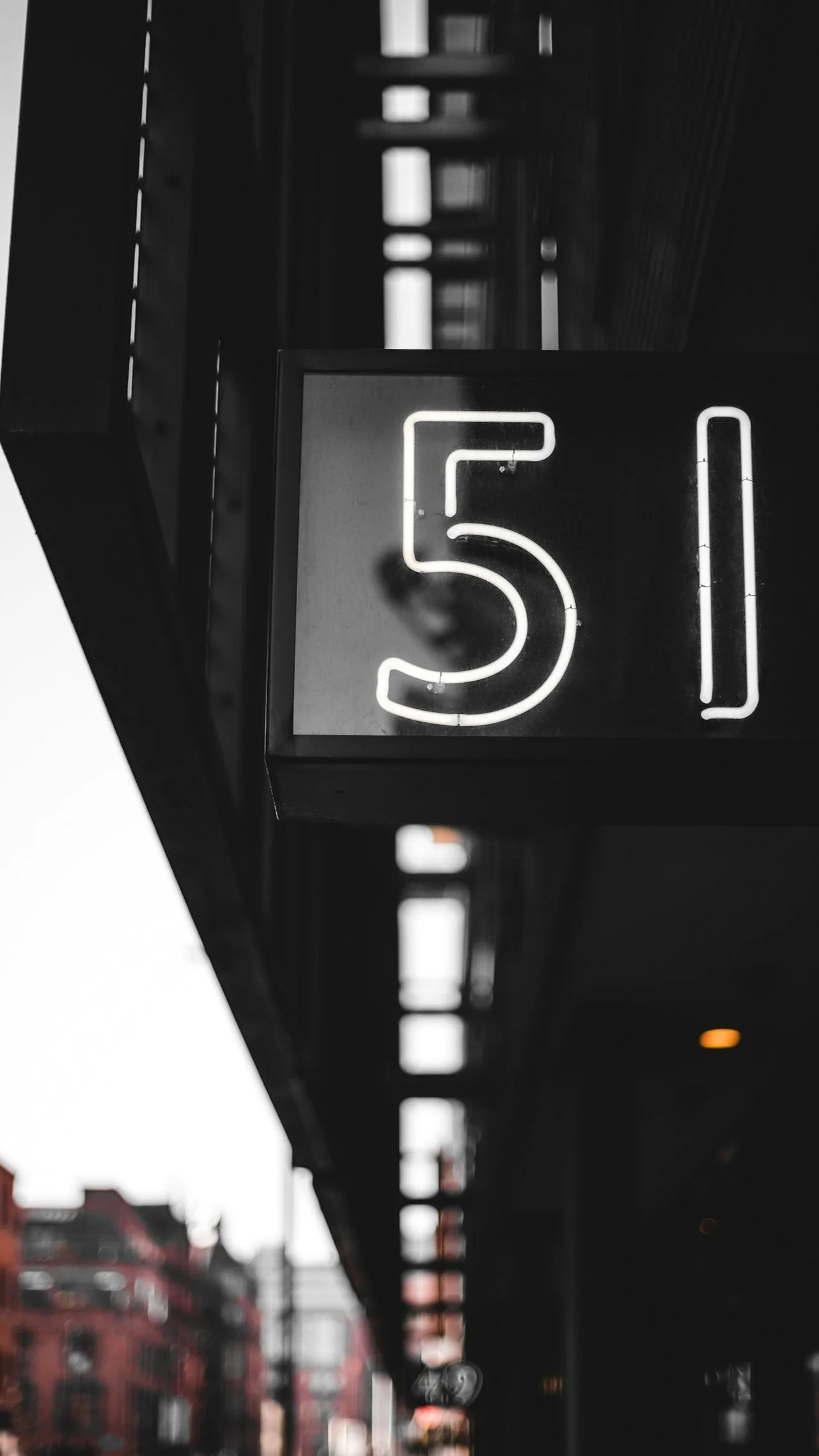 Veterinary ECC Newsletter #51 