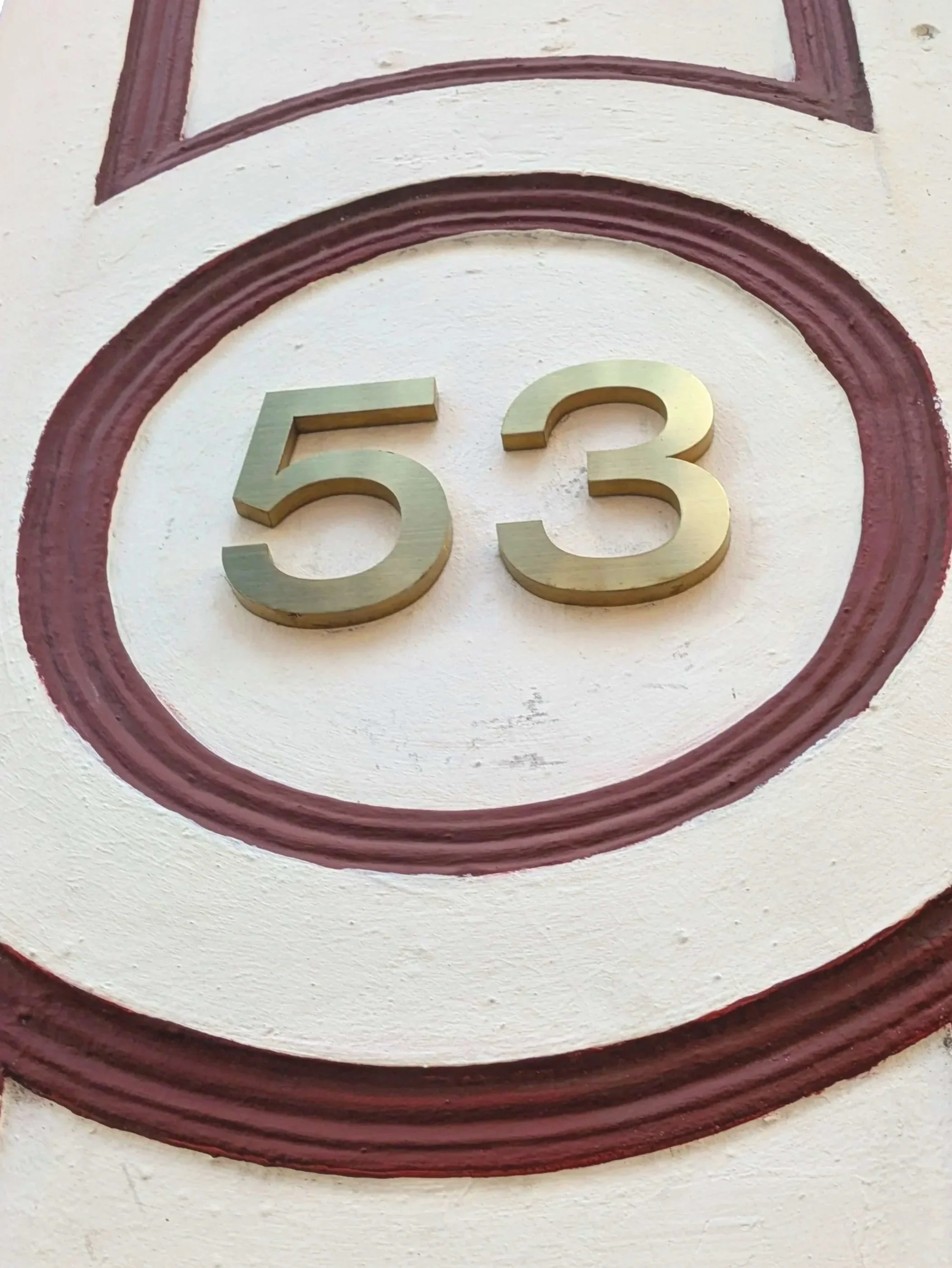 Veterinary ECC Newsletter #53 