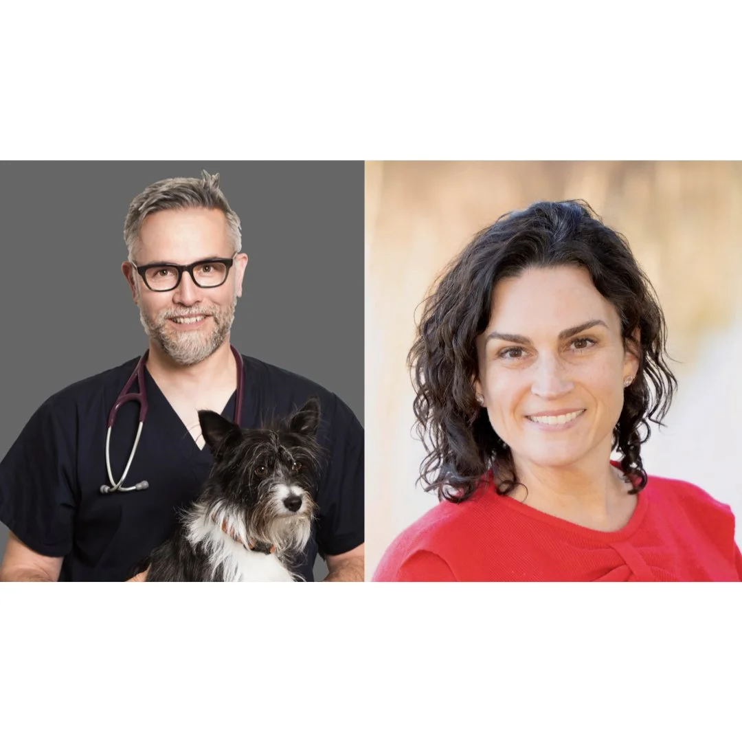 Meet The AuthorS