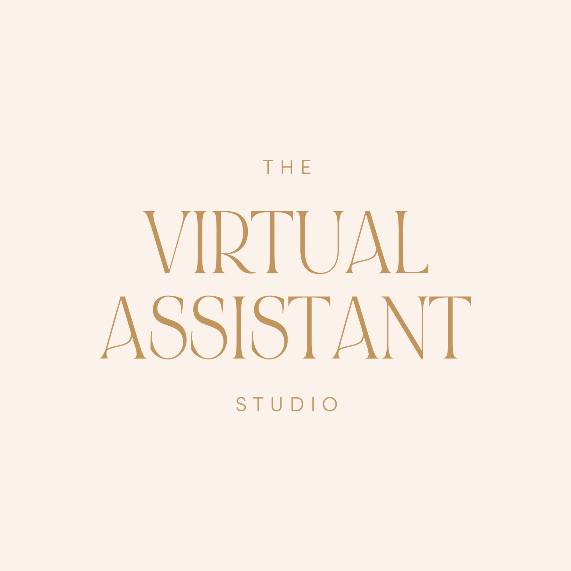 The Virtual Assistant Studio_Secondary Logo.png