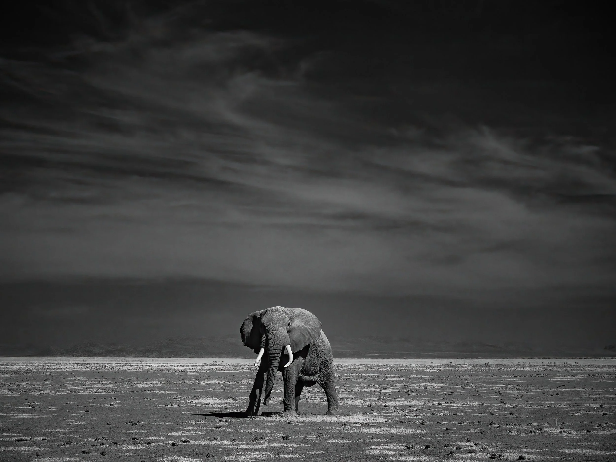 IR Kenya Safari 10-2025-88-Edit.jpg