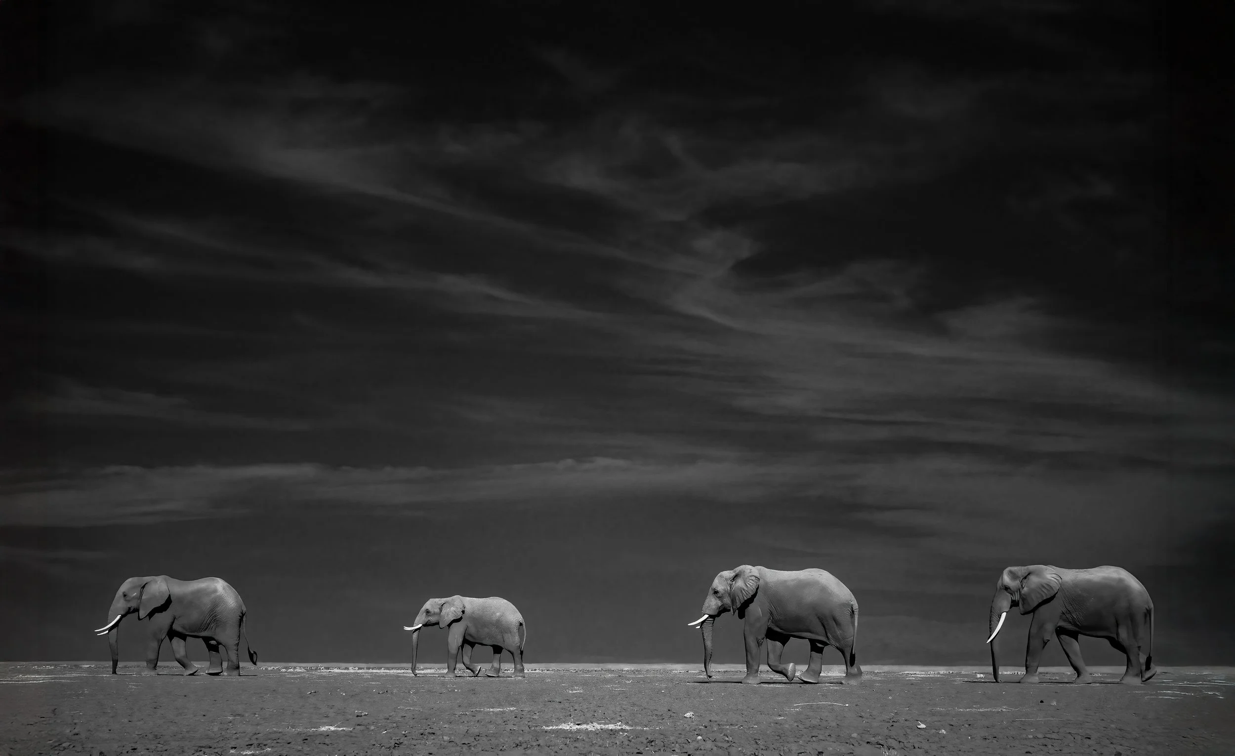 IR Kenya Safari 10-2025-73-Edit-Edit.jpg