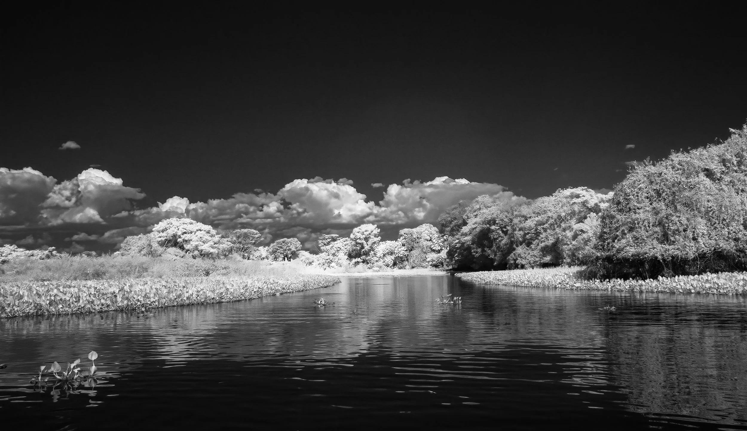Pantanal 7-2026-27-Edit.jpg