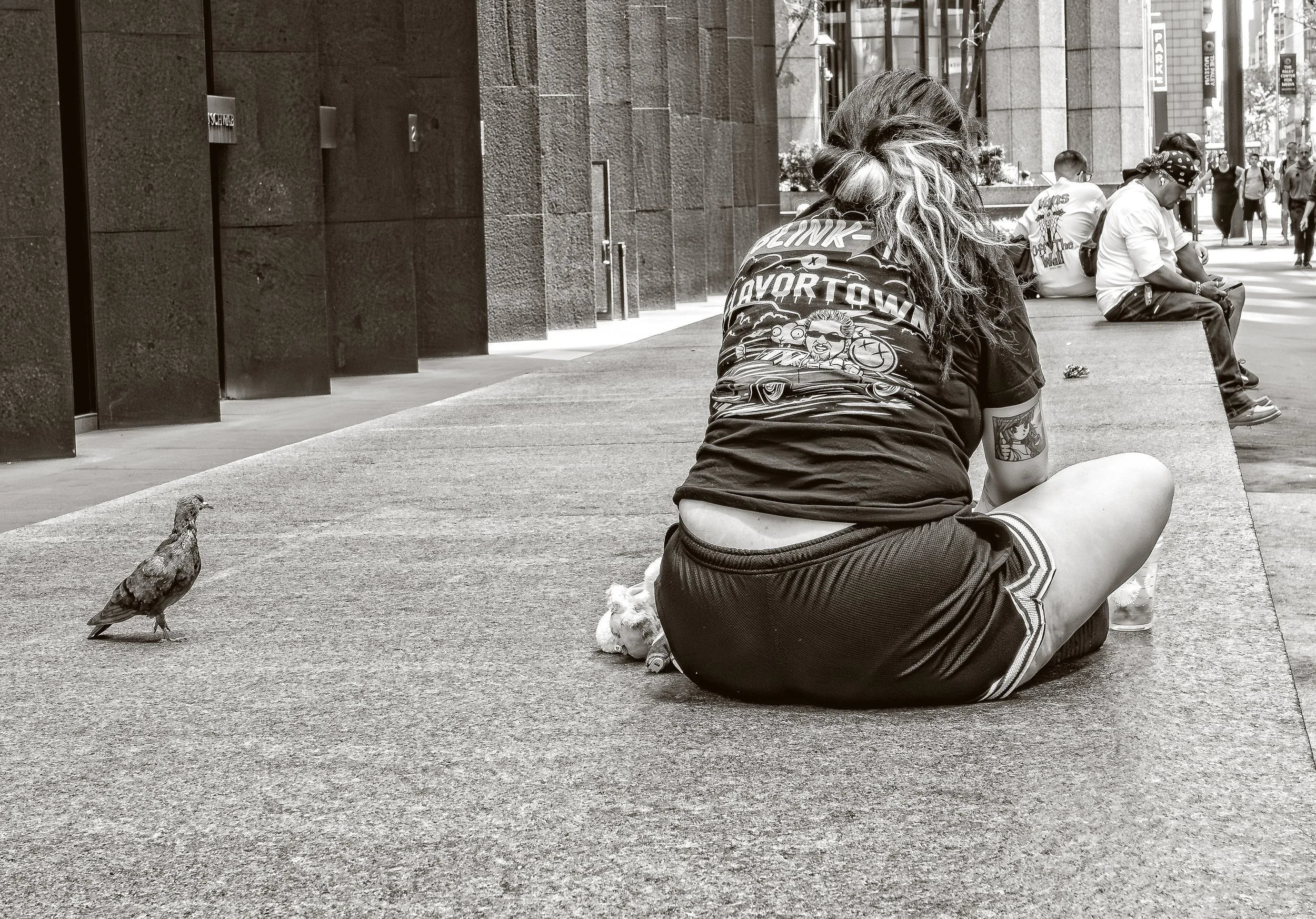 An experienced New York pigeon patiently waiting for lunch