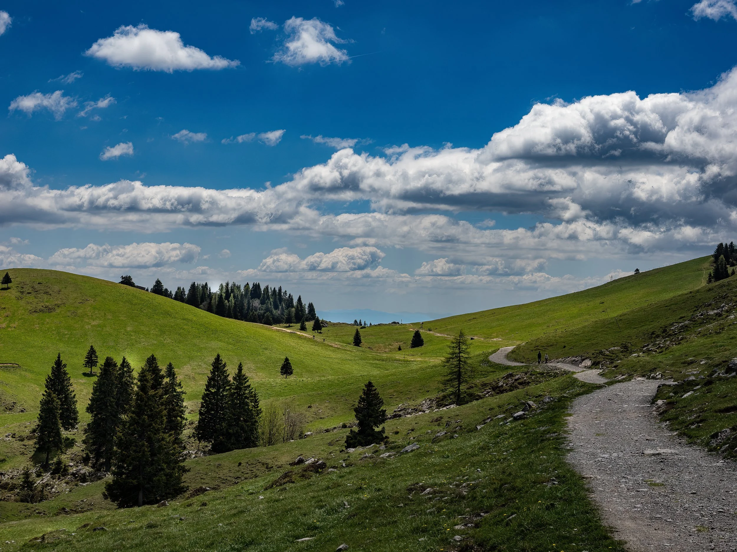 Slovenia 5-2026-189-Edit.jpg