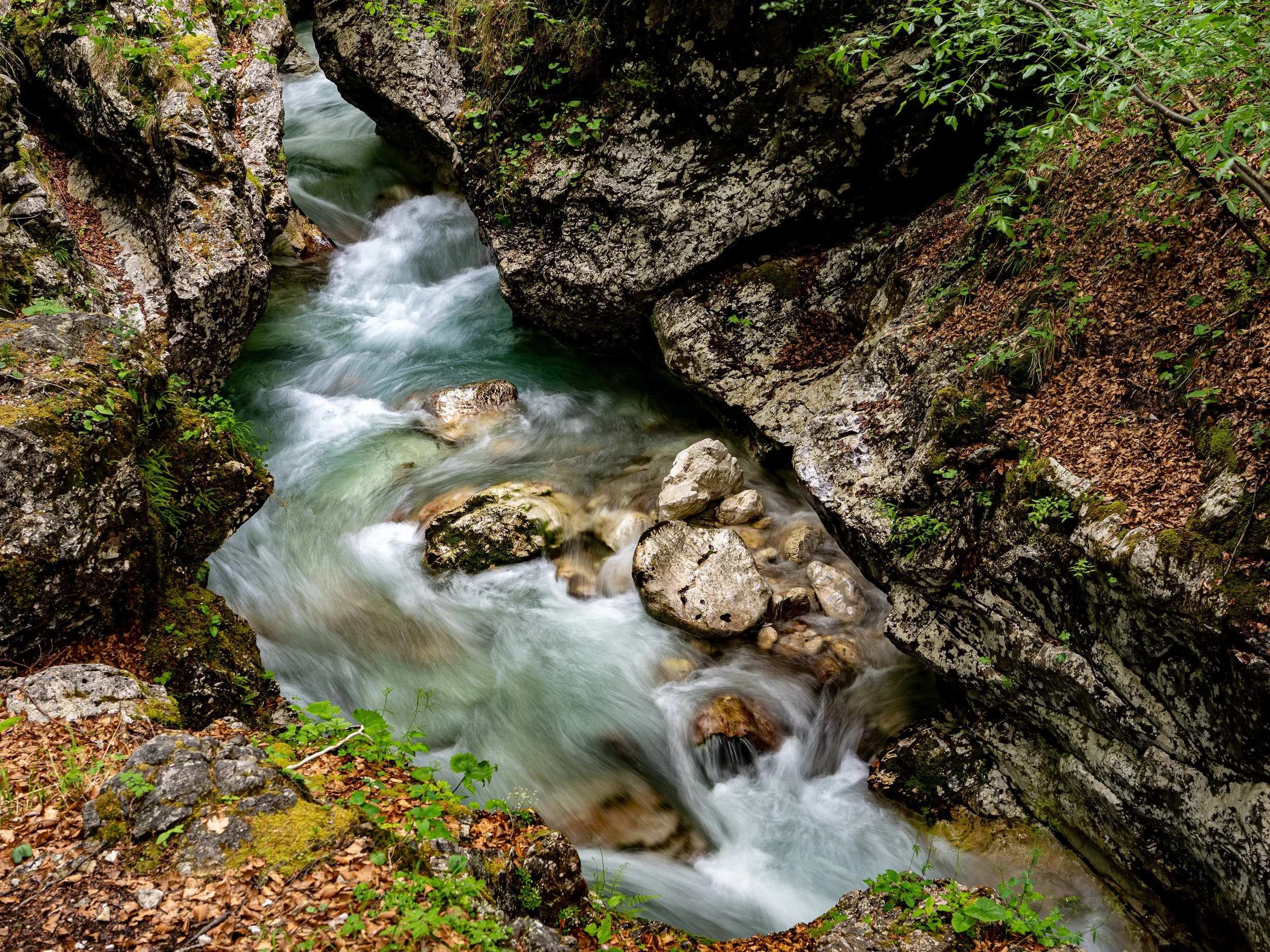 Slovenia 5-2026-135.jpg