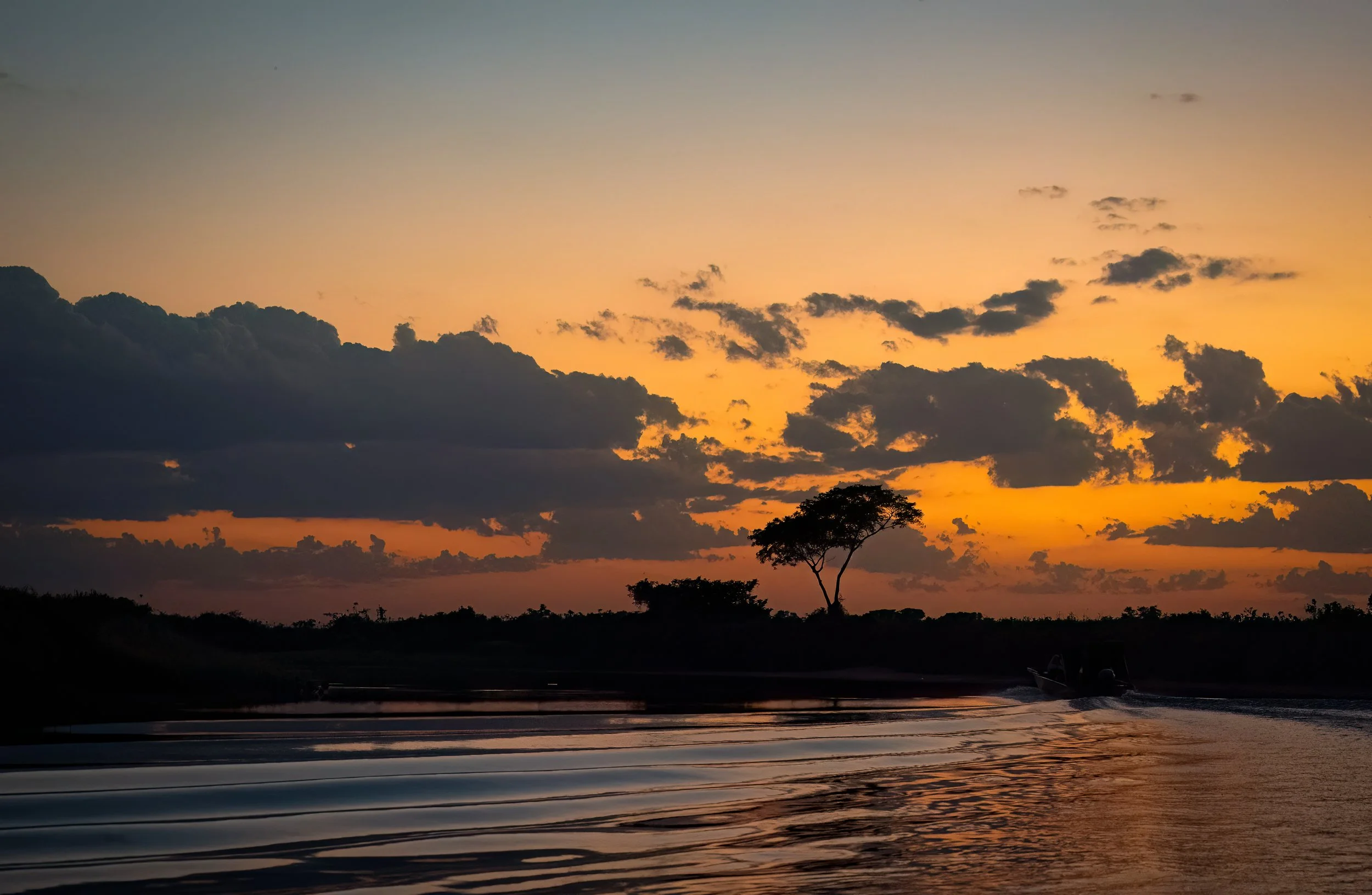 Pantanal 7-2026-22-Edit-Edit.jpg