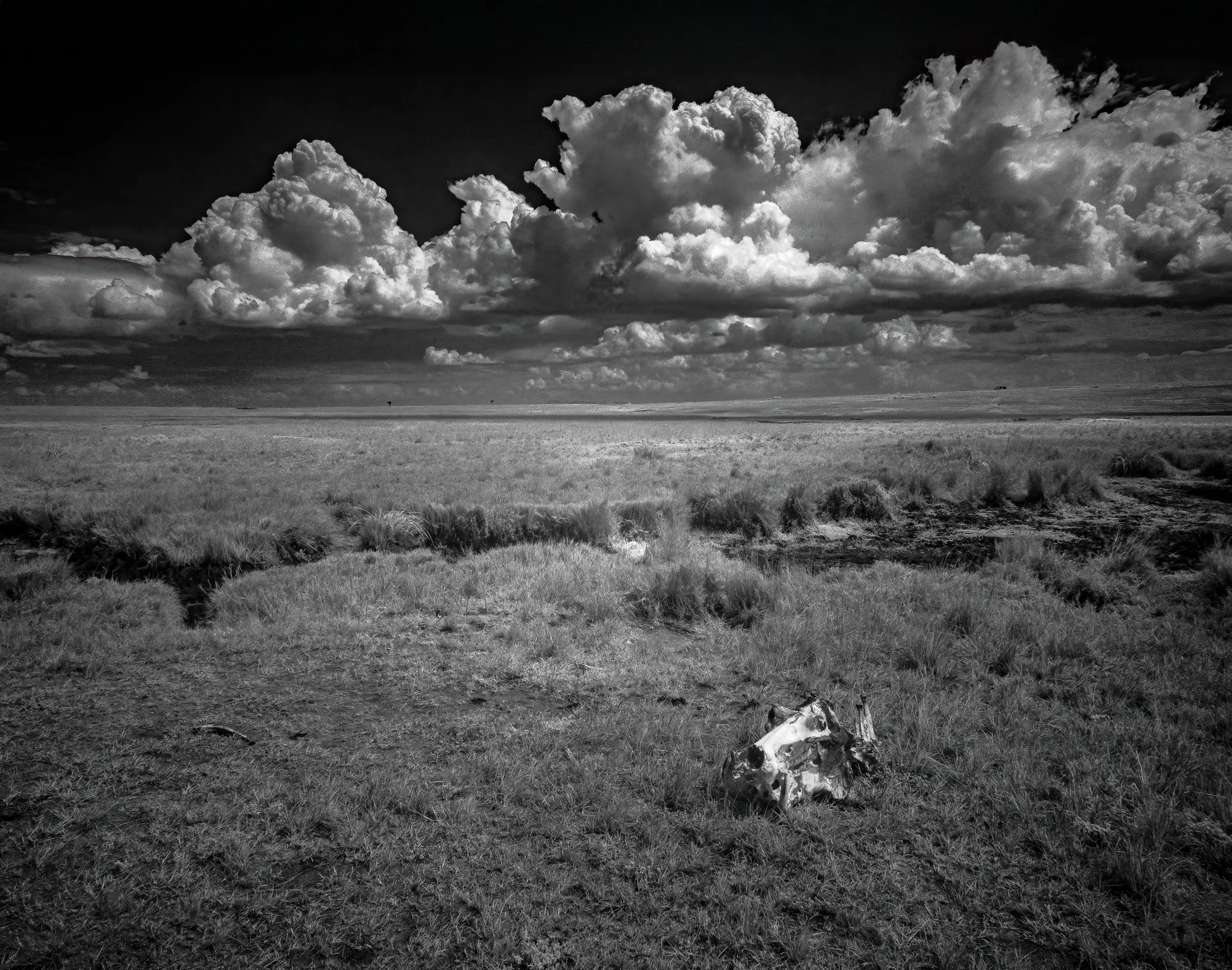 IR Kenya Safari 10-2025-116-Edit-Edit.jpg