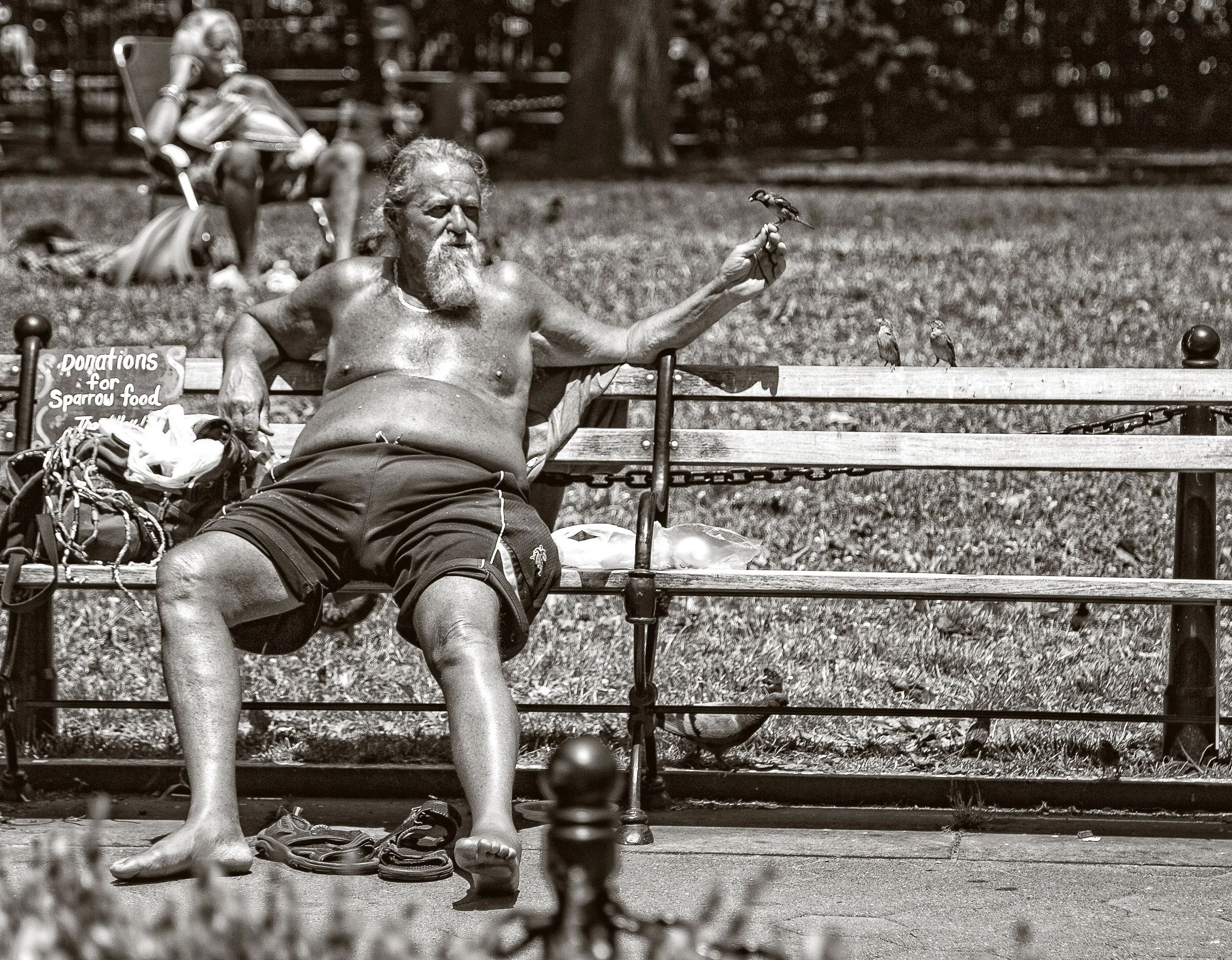 One of many images from Washington Square Park