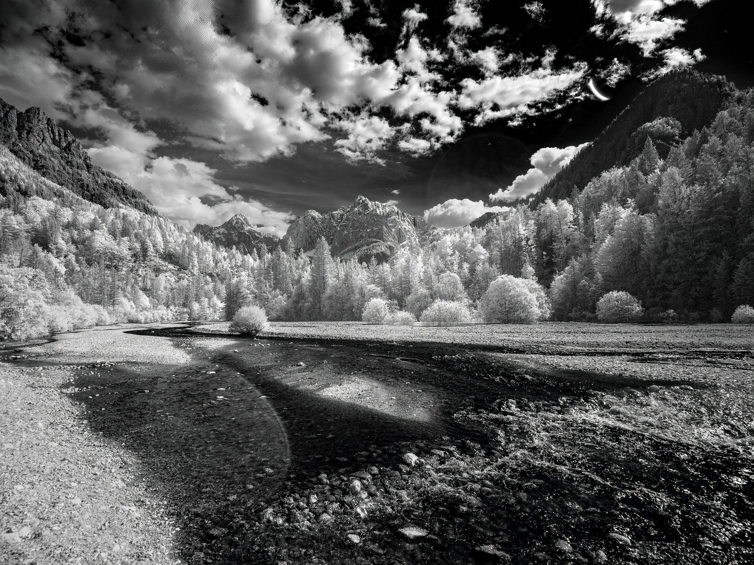 IR Slovenia 5-2026-273-Edit.jpg