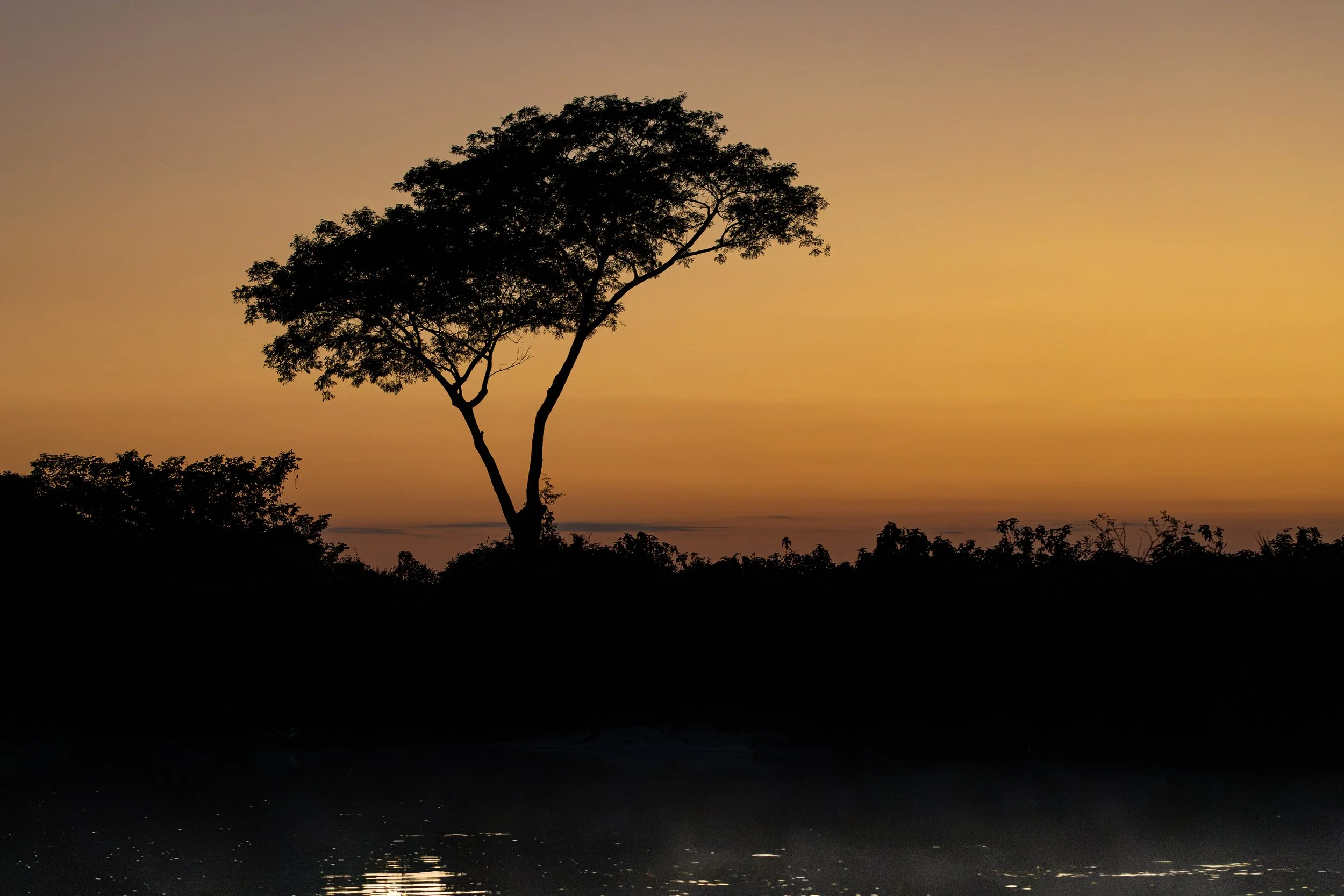 Pantanal 7-2026-24.jpg
