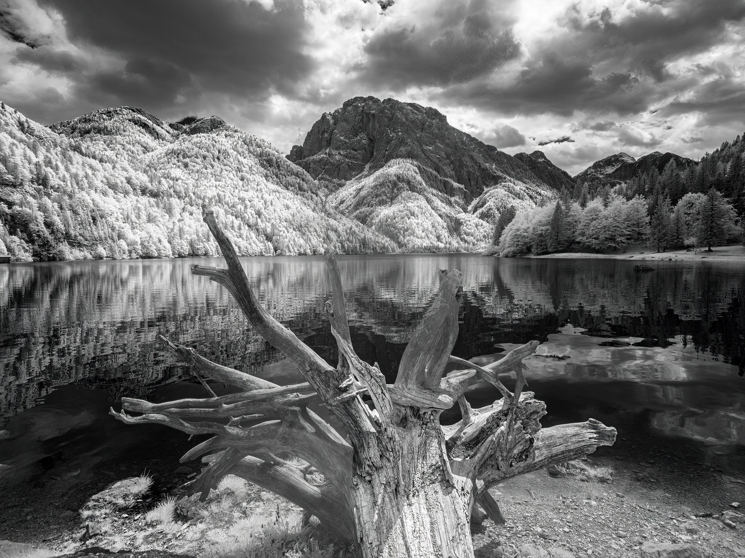 IR Slovenia 5-2026-248-Edit.jpg