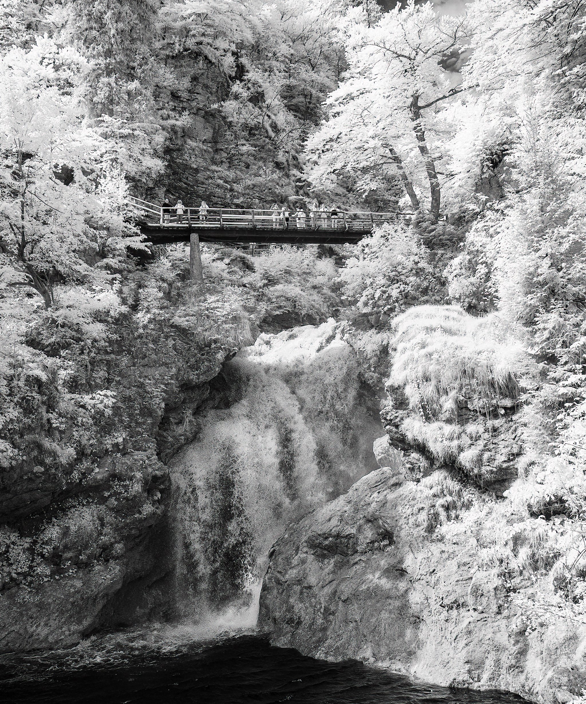IR Slovenia 5-2026-226-Edit.jpg