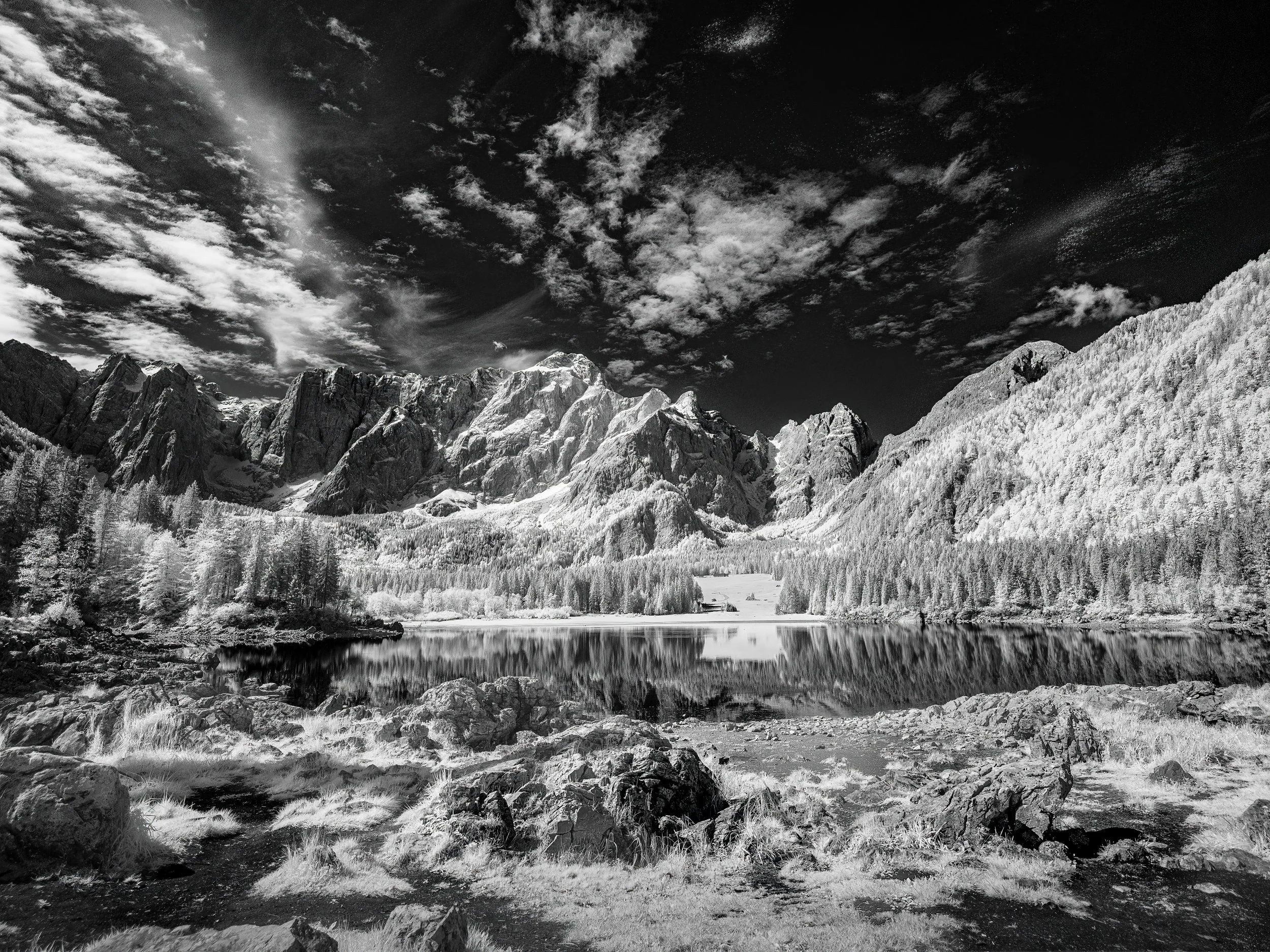 IR Slovenia 5-2026-243-Edit.jpg