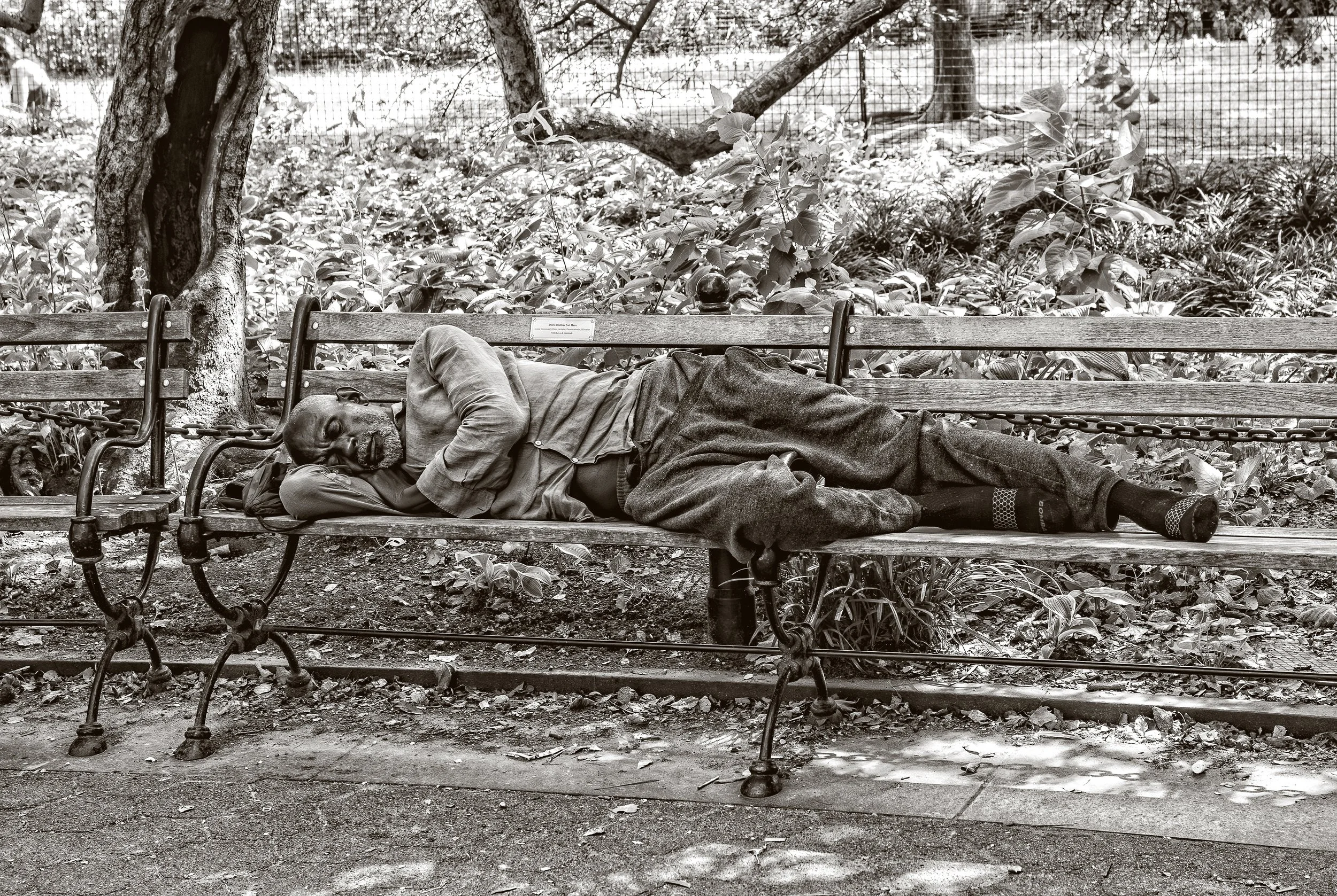 NYC Streets 8-2025-470.jpg