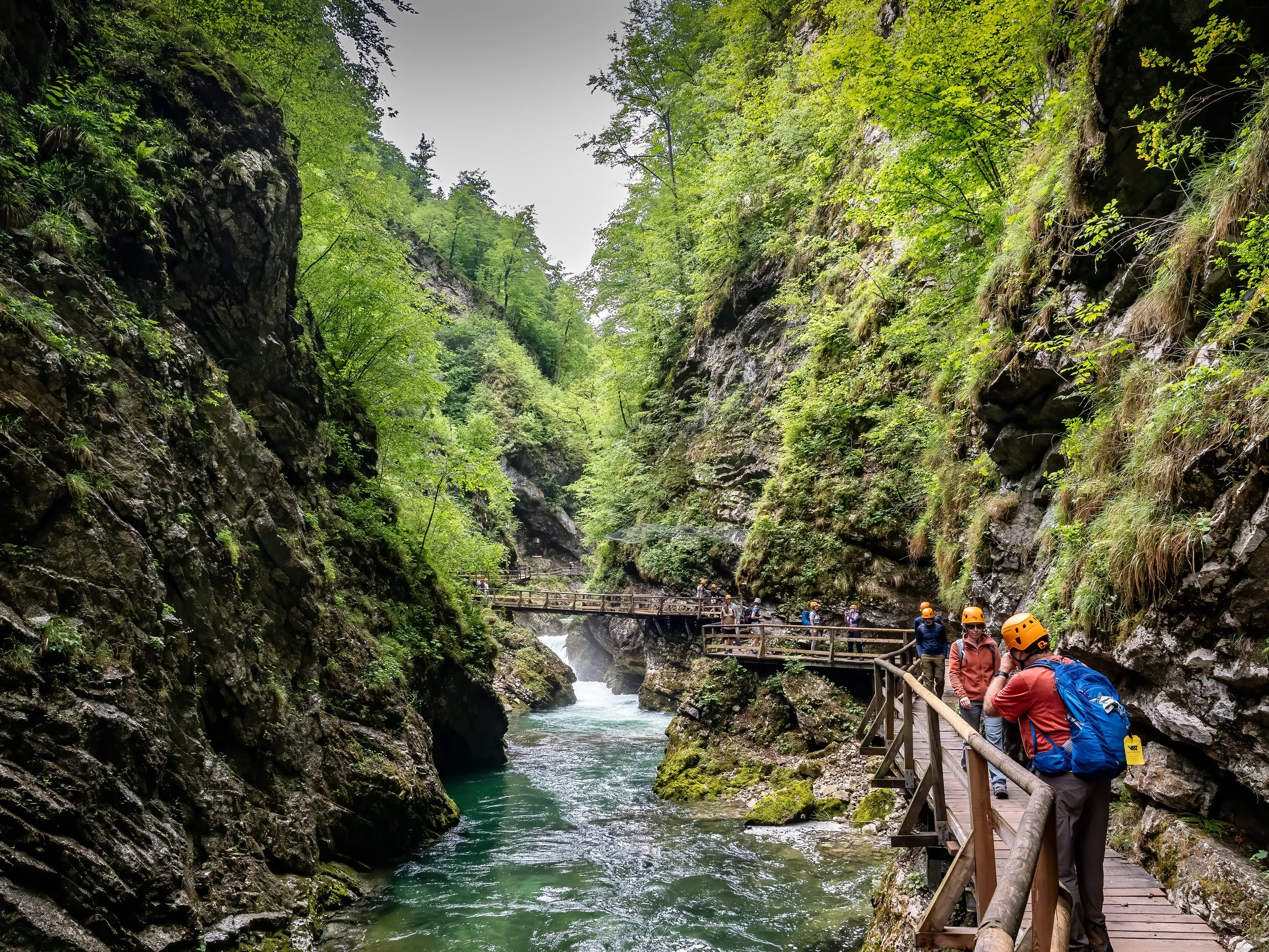 View along the Vintgar Gorge