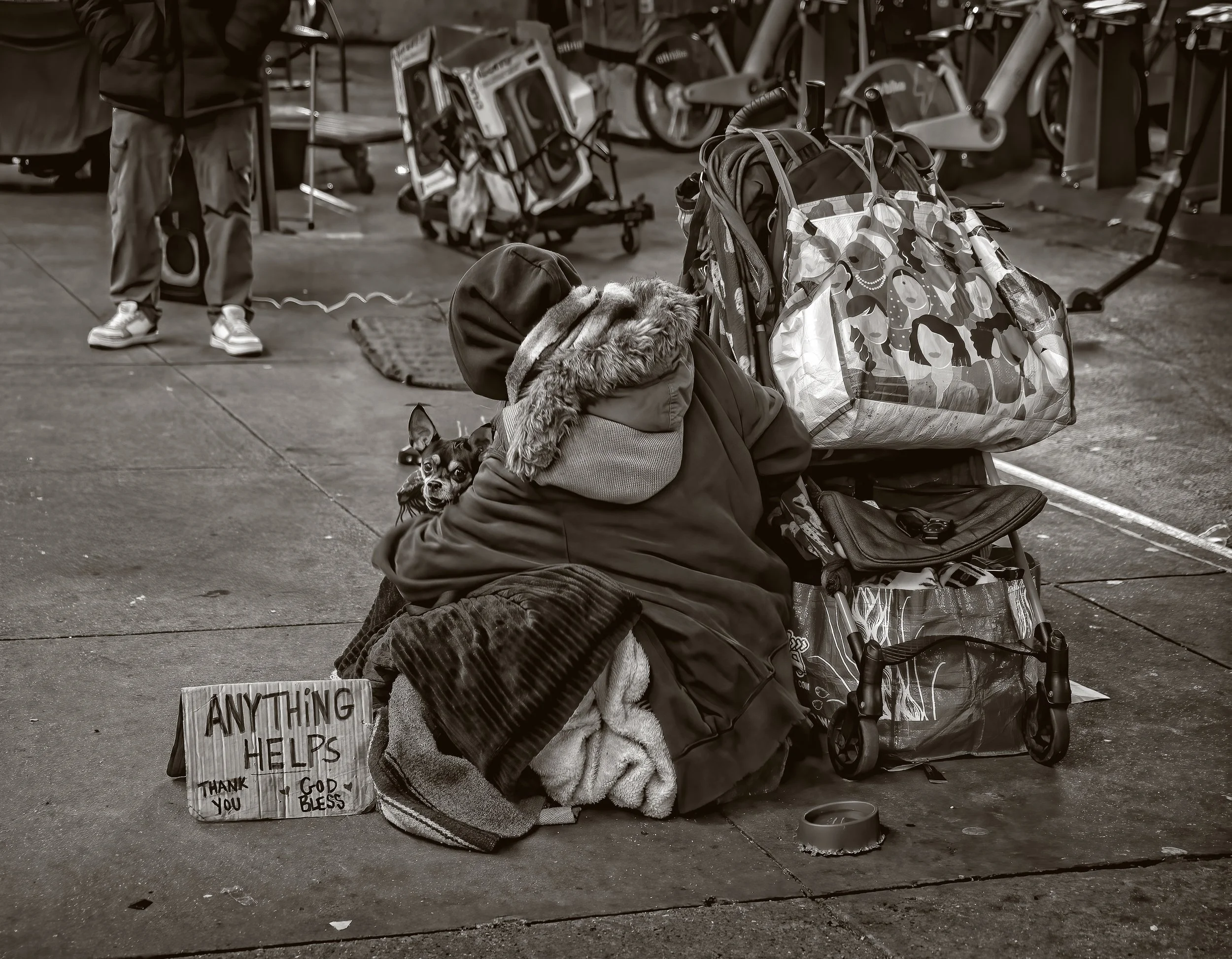 I was immediately taken to the dog