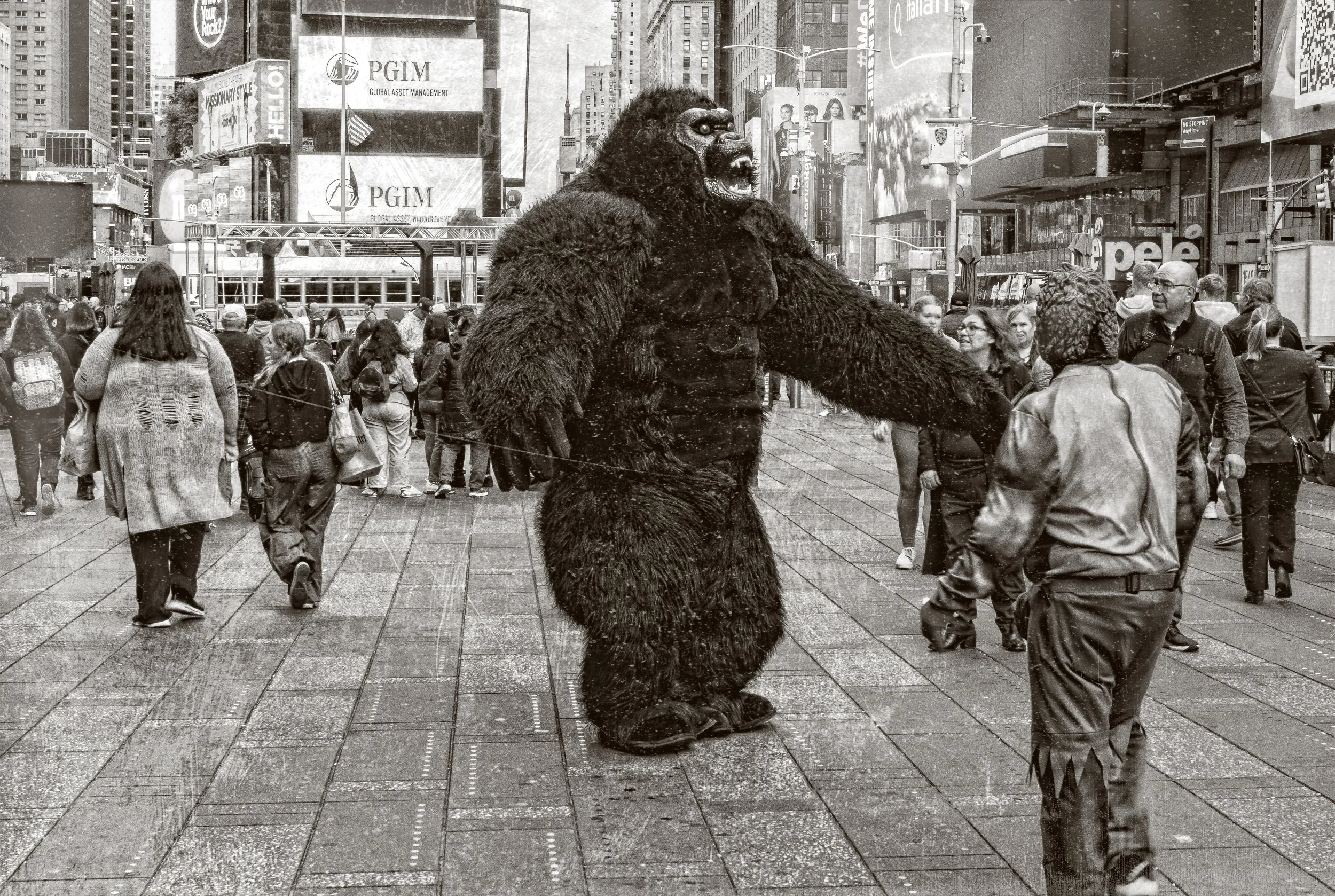 NYC Bridges 10-2023-220-Edit.jpg