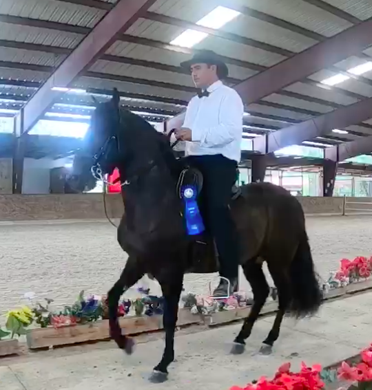 Screen Shot 2021-10-11 at 8.03.48 PM.png