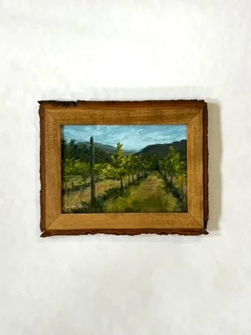 SOLD - A Vineyard in Chianti