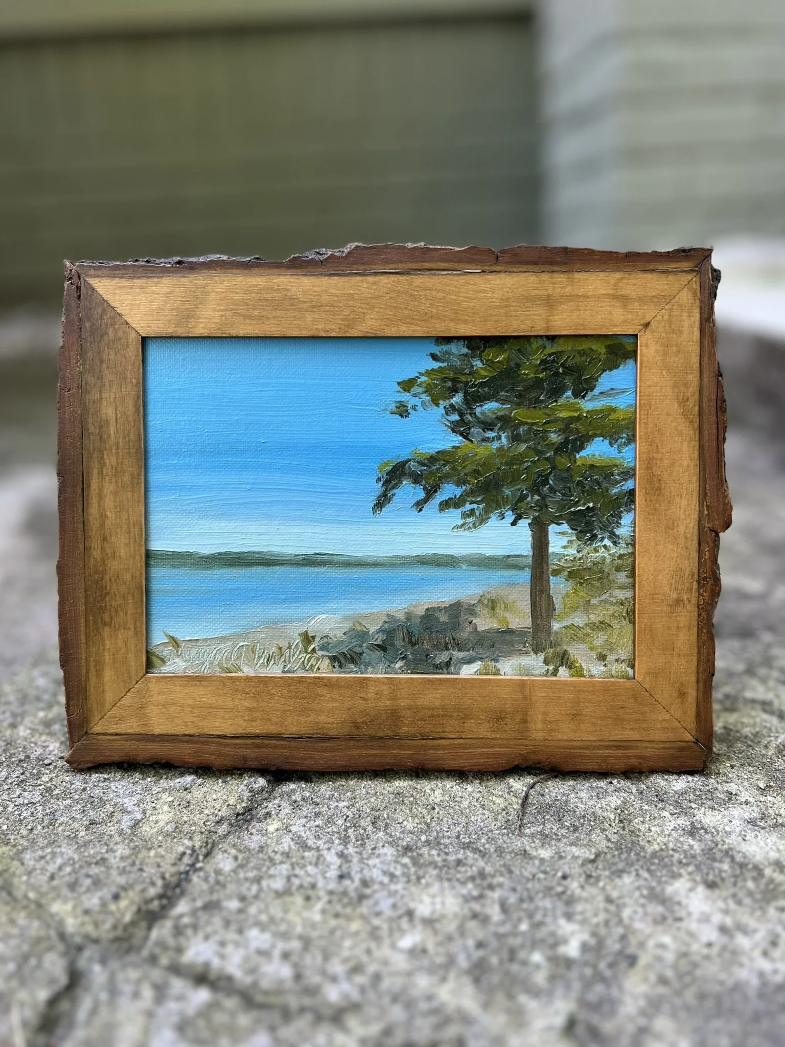 Shade on the Beach, Whiting Park