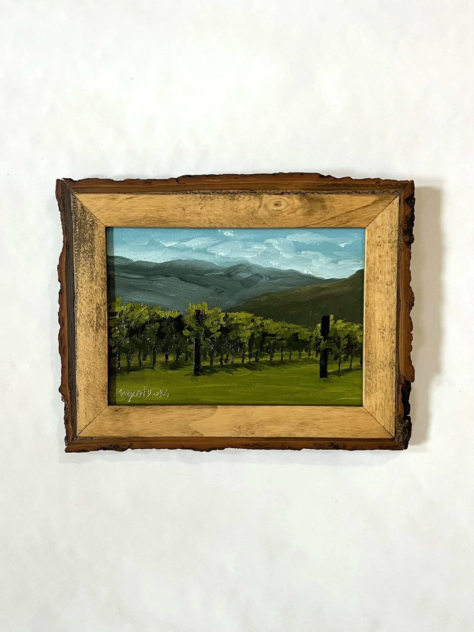 SOLD - A Vineyard in Tuscany