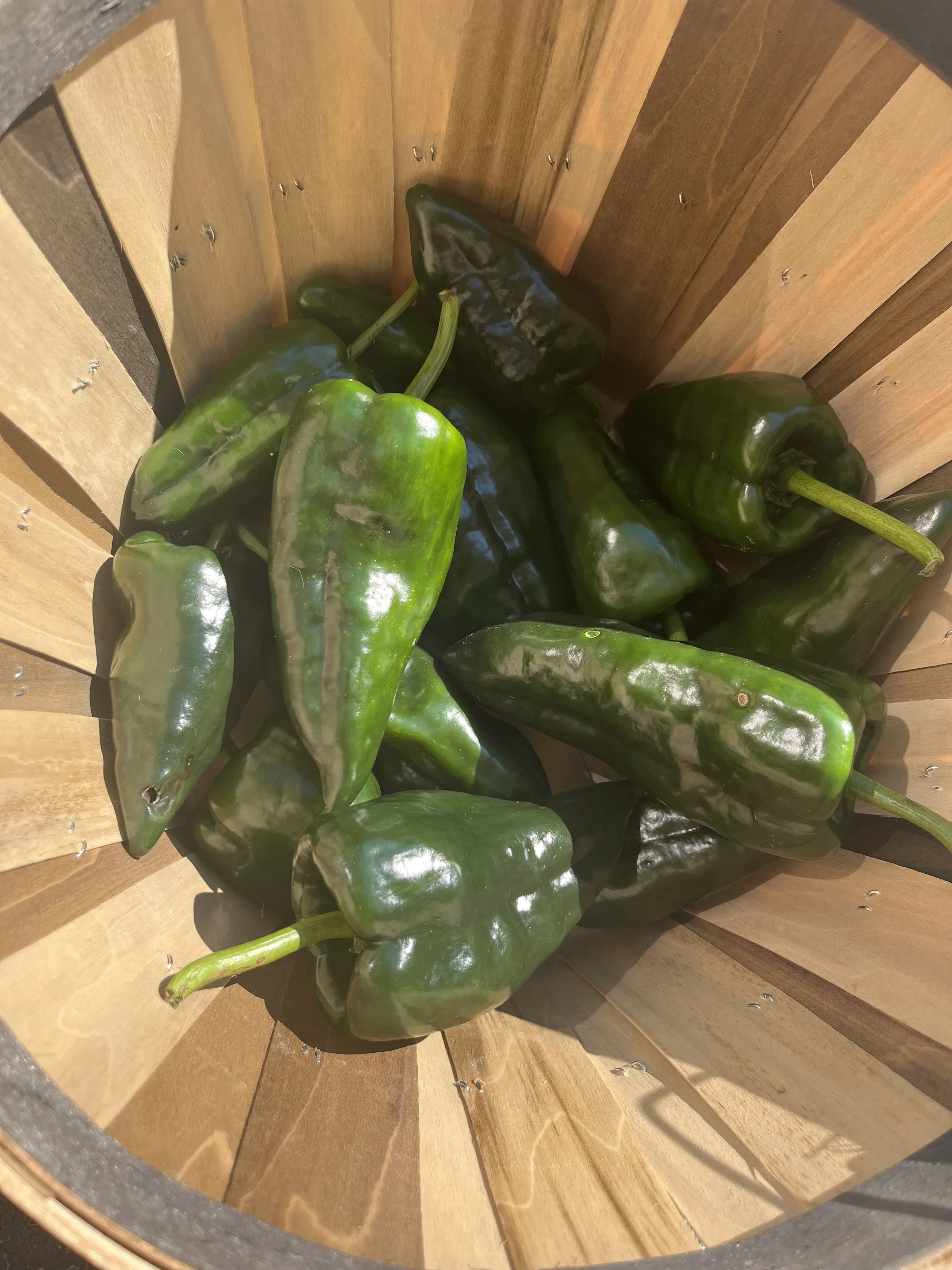 Large green peppers in a light beige wicker basket