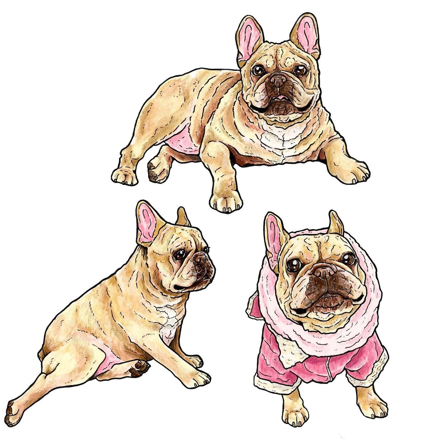 Frenchies, frenchies, frenchies for Mei Mei&rsquo;s special pattern. Have you checked out the adorable @chubbymeimei ?! Those turkey drumsticks&hellip; 🤣🤣🤣