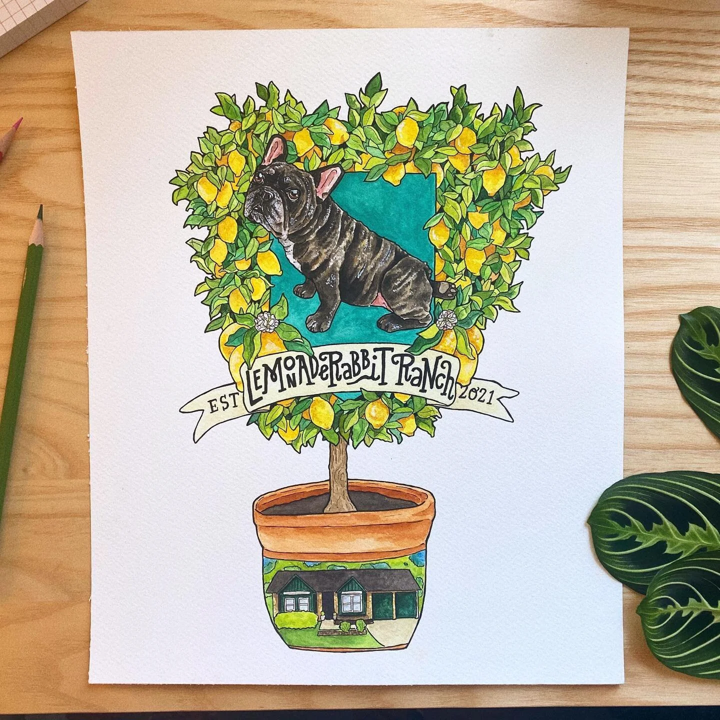 When your client asks for a crest featuring their new home and it&rsquo;s queen, Lulu, surrounded by her signature fruit, you say &ldquo;oh heck yes!&rdquo; 🍋🍋🍋🍋 A round of huge thanks to Maya and Lulu for giving me the chance and freedom to crea